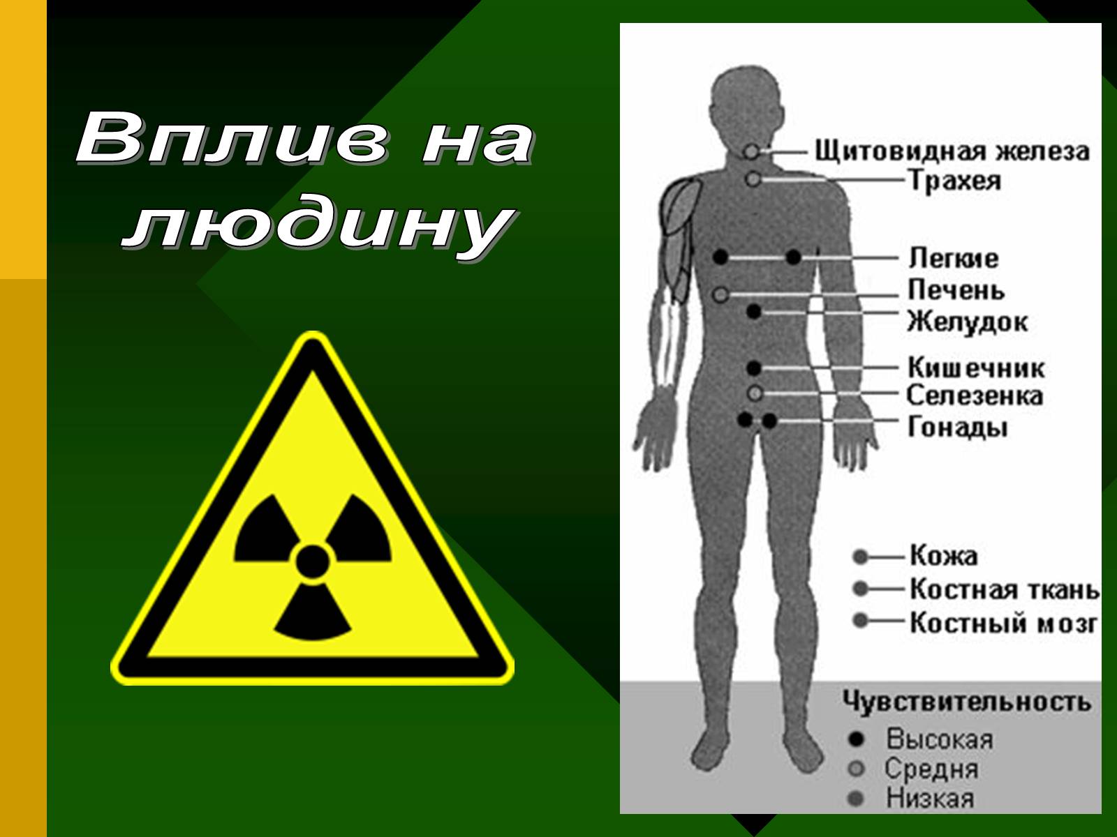 Презентація на тему «Радіоактивність. Види радіоактивного випромінювання» (варіант 2) - Слайд #18