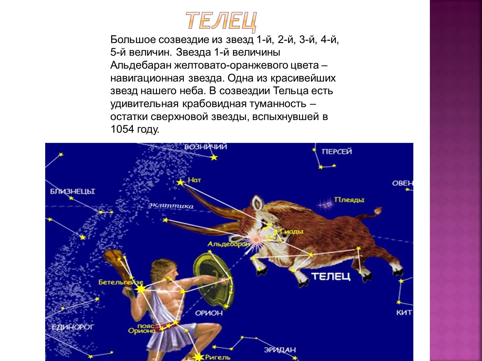 Созвездие тельца какие звезды. Созвездие Телец Альдебаран. Альдебаран звезда в созвездии тельца. Рассказ о созвездии тельца. Зодиакальное Созвездие Телец.