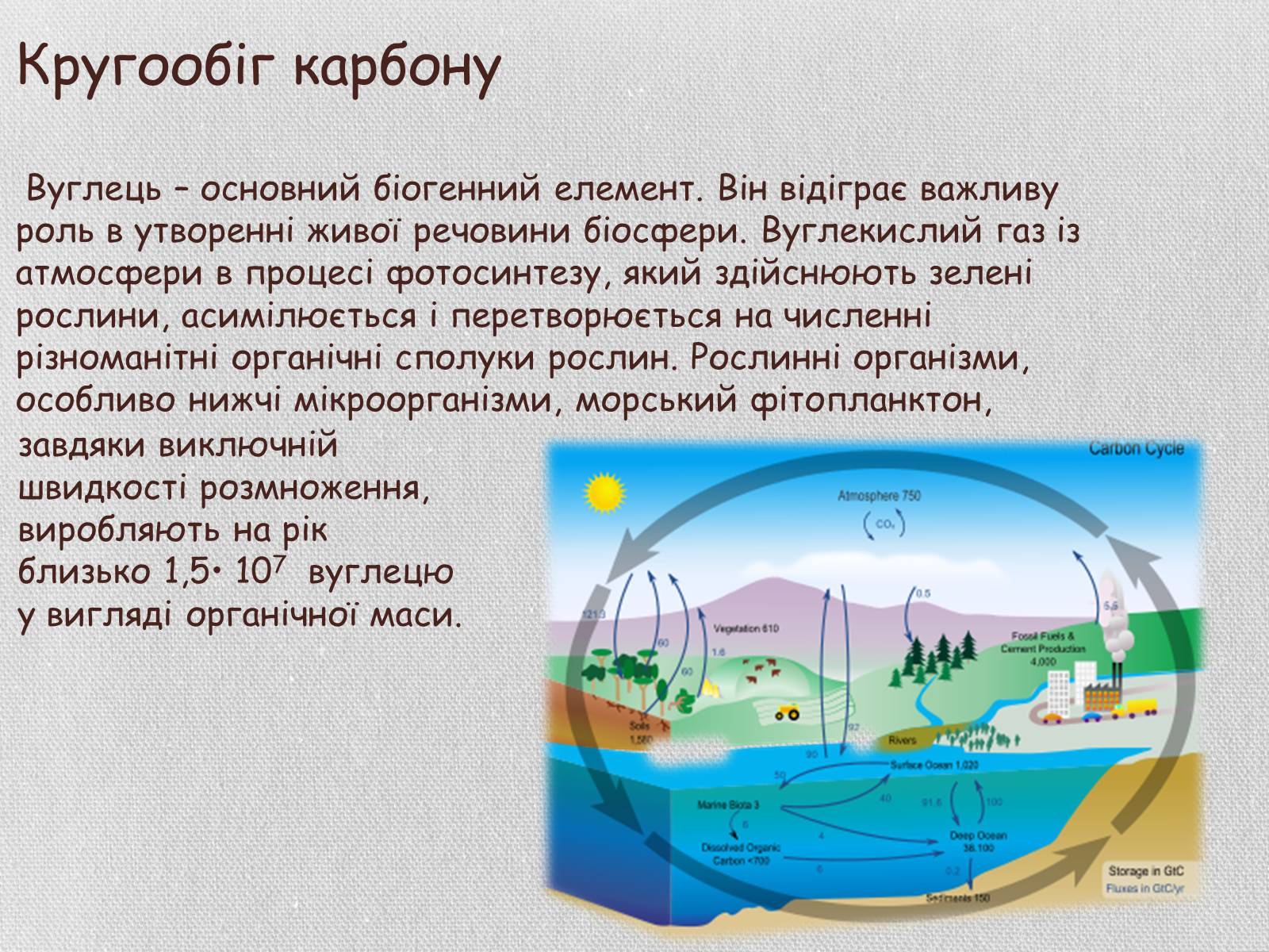 Презентація на тему «Колообіг речовин і потоки енергії як основні системоутворювальні чинники» (варіант 1) - Слайд #14