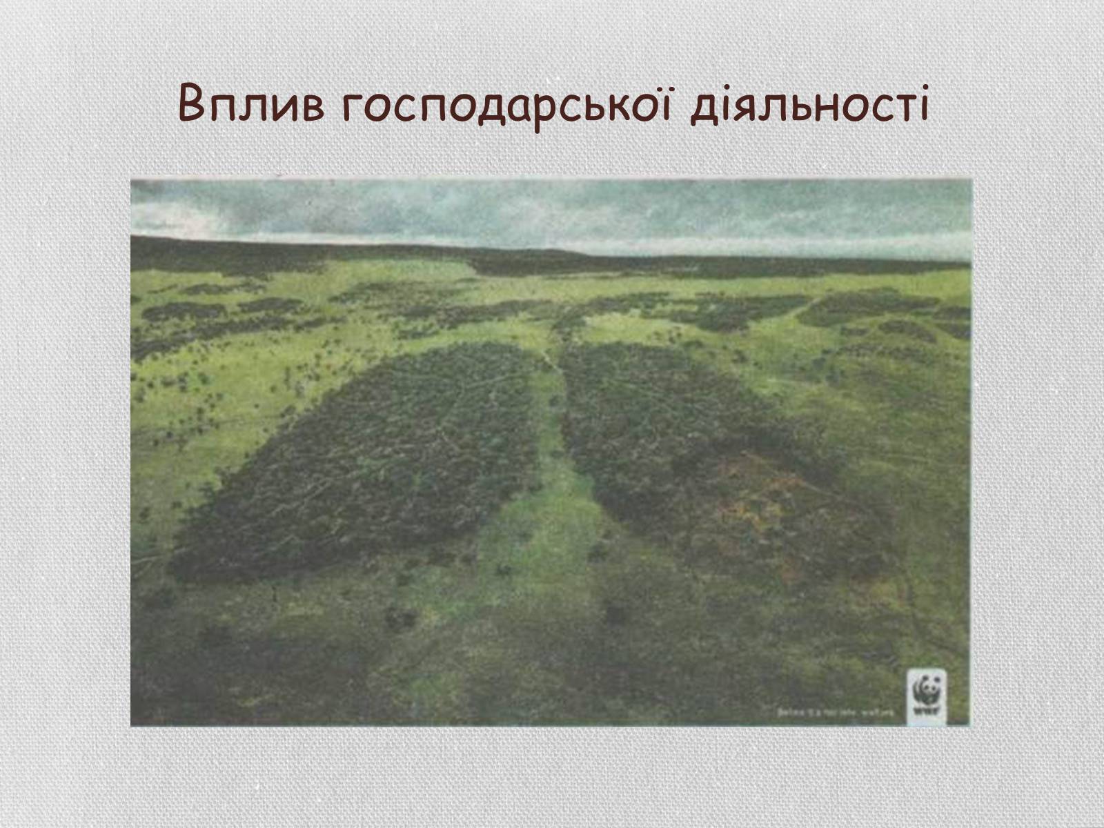 Презентація на тему «Колообіг речовин і потоки енергії як основні системоутворювальні чинники» (варіант 1) - Слайд #24