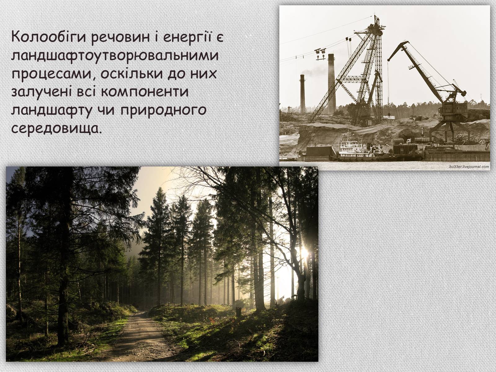 Презентація на тему «Колообіг речовин і потоки енергії як основні системоутворювальні чинники» (варіант 1) - Слайд #3