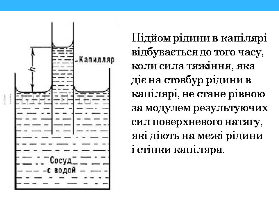 Презентація на тему «Властивості поверхні рідин» - Слайд #16