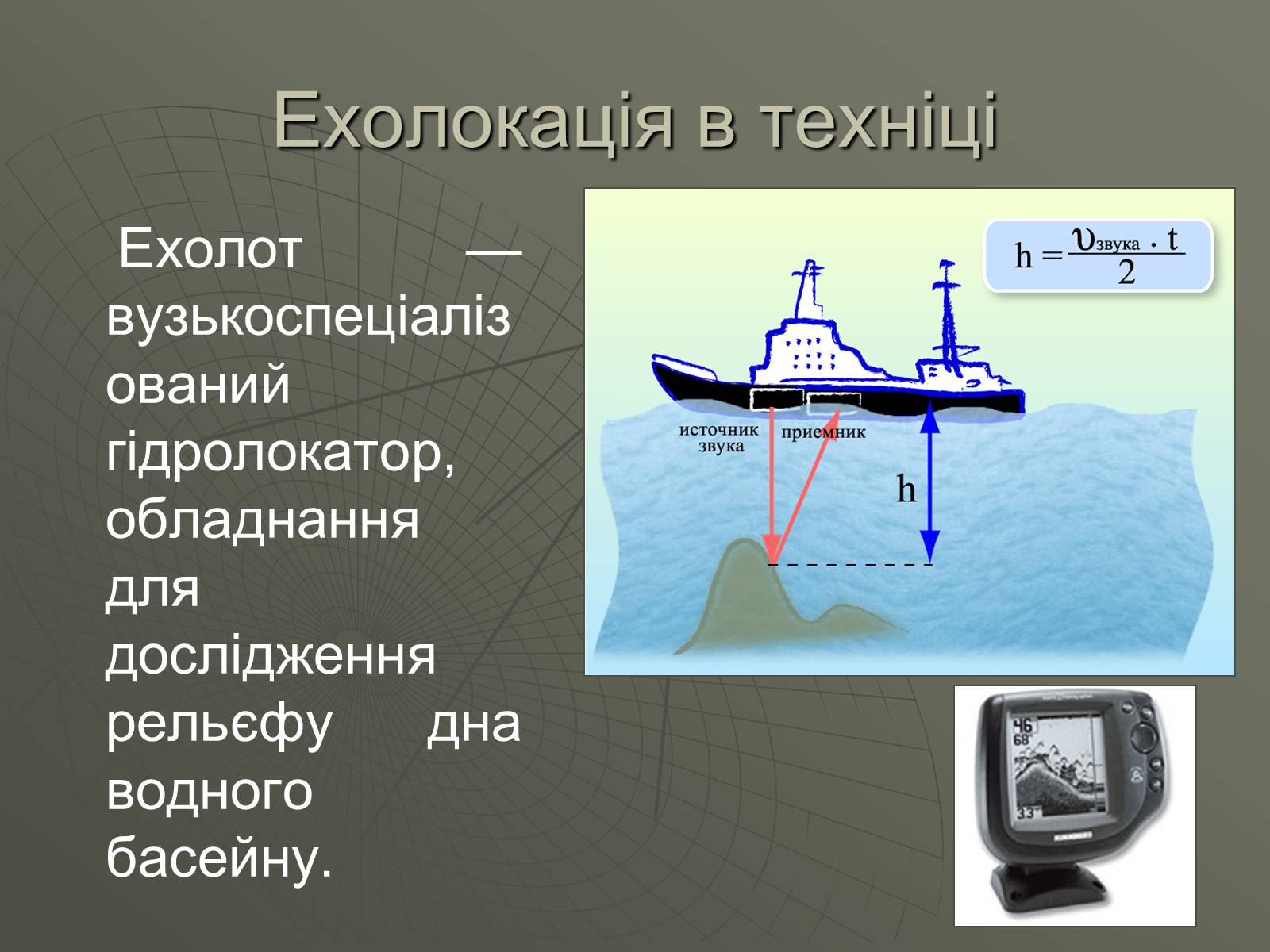 Какие животные с помощью эхолокации. Эхолокация. Эхолот физика. Эхолокация в технике. Эхолот ультразвук.