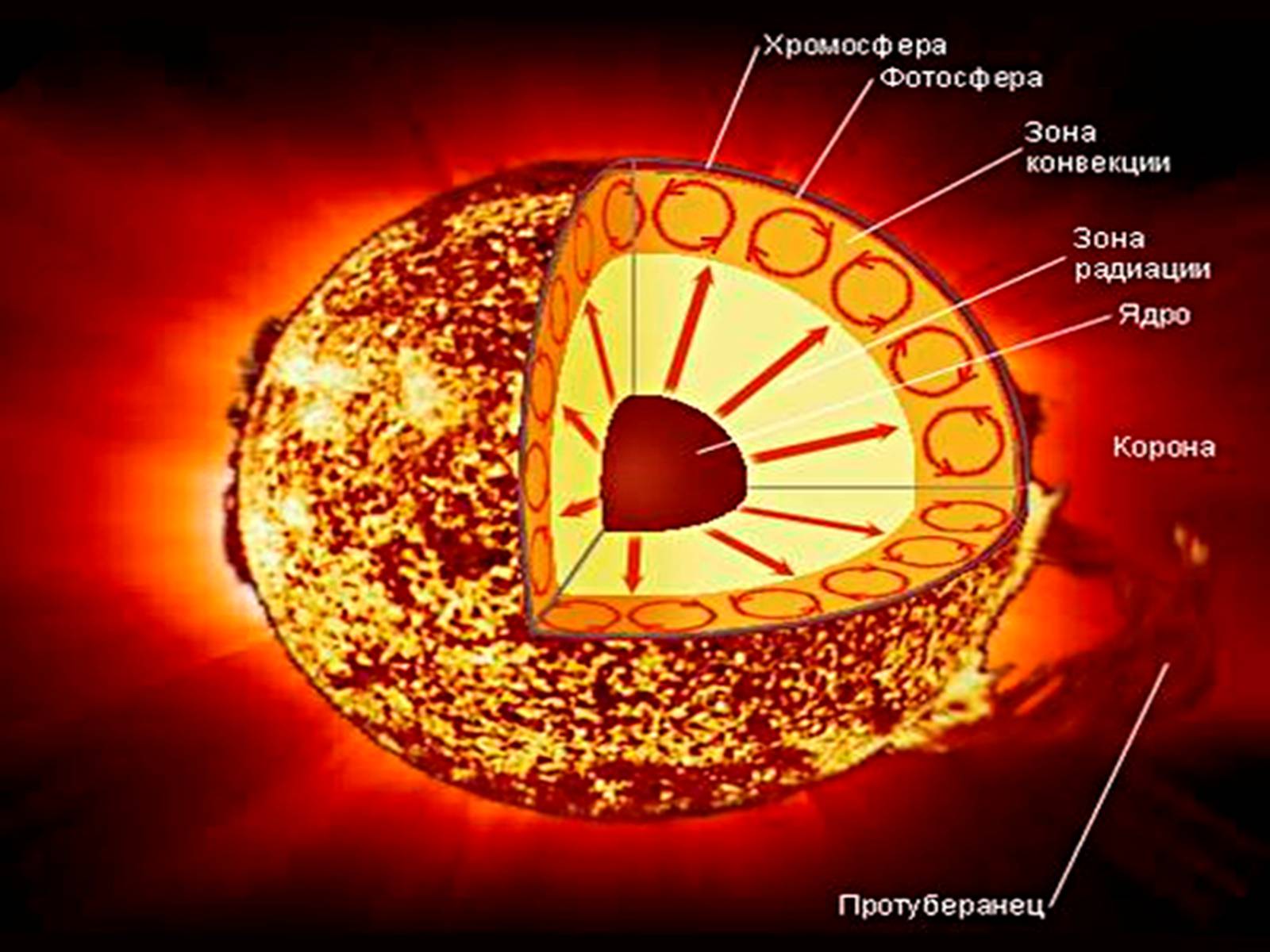Солнечная атмосфера корона. Строение атмосферы солнца Фотосфера хромосфера Солнечная корона. Строение солнца хромосфера Фотосфера. Внутреннее строение солнца Фотосфера. Строение солнца схема.