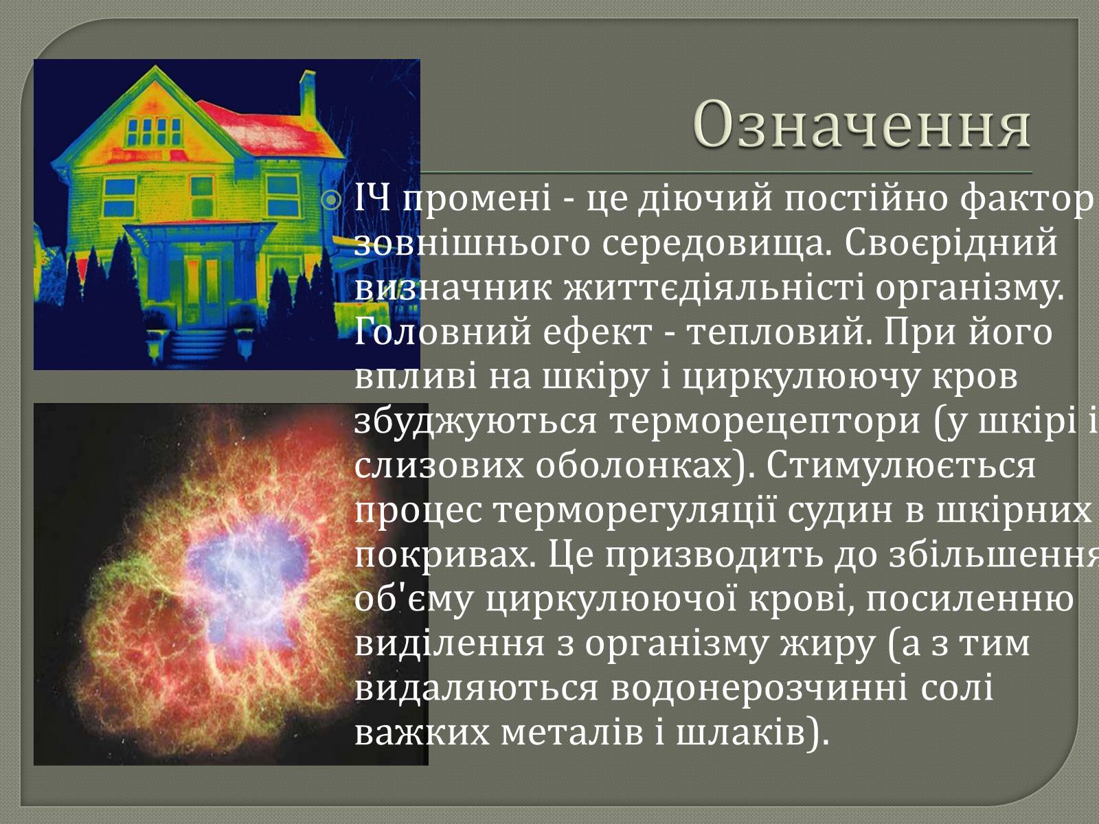 Презентація на тему «Інфрачервоне випромінювання» (варіант 3) - Слайд #3