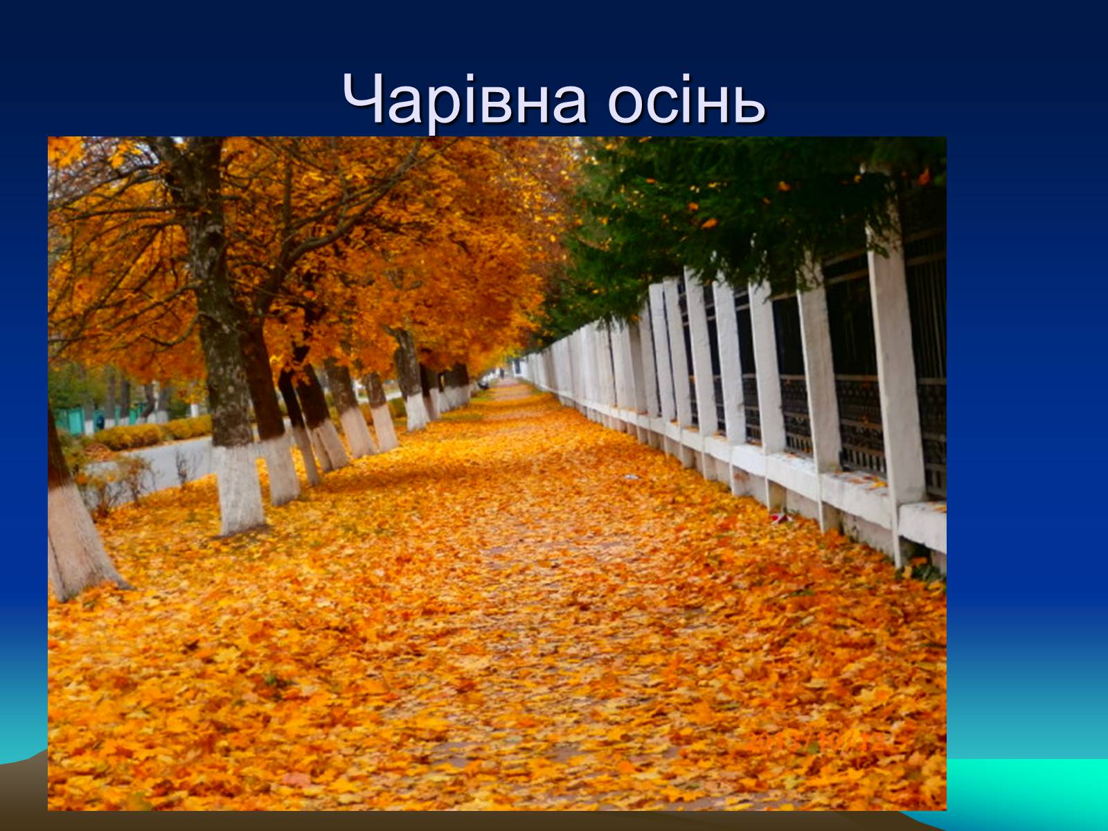 Презентація на тему «Природні Явища та механічний рух» - Слайд #21