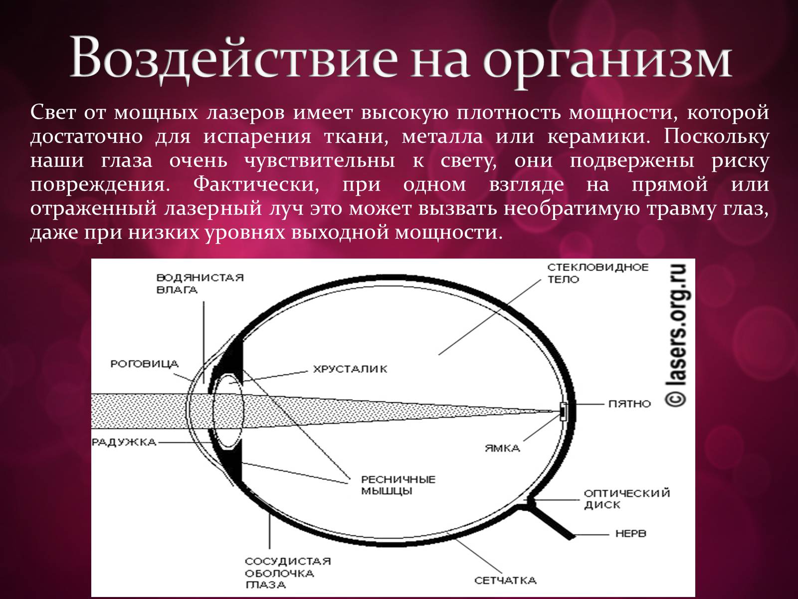 Презентація на тему «Лазери та їх застосування» (варіант 3) - Слайд #24