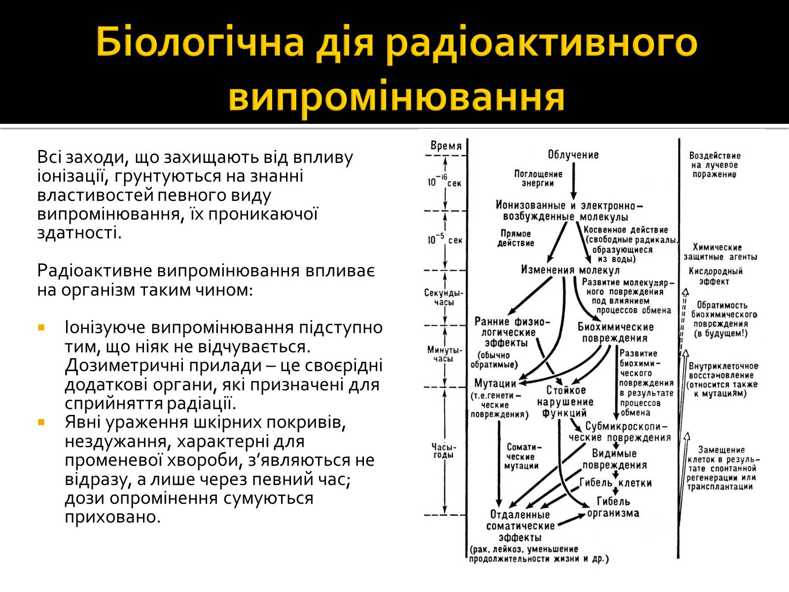 Презентація на тему «Радіоактивність» (варіант 3) - Слайд #12