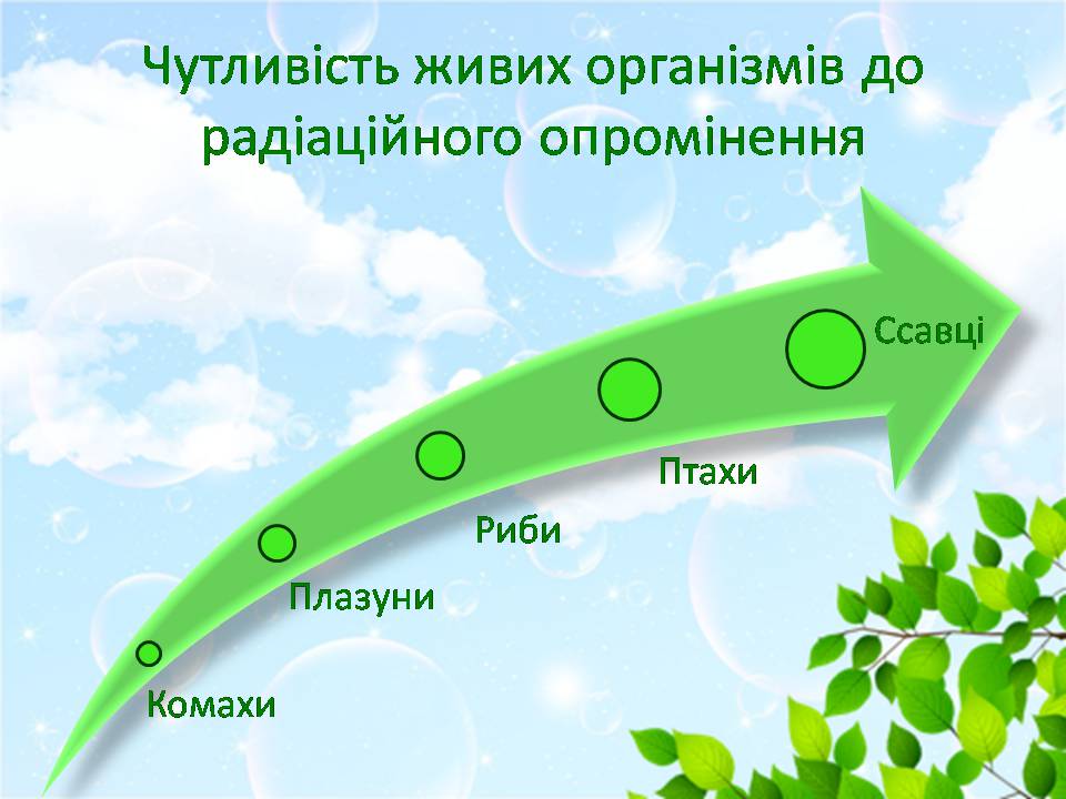 Презентація на тему «Вплив радіації на навколишнє середовище» - Слайд #4