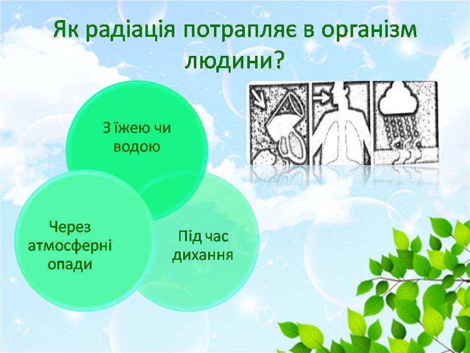 Презентація на тему «Вплив радіації на навколишнє середовище» - Слайд #5