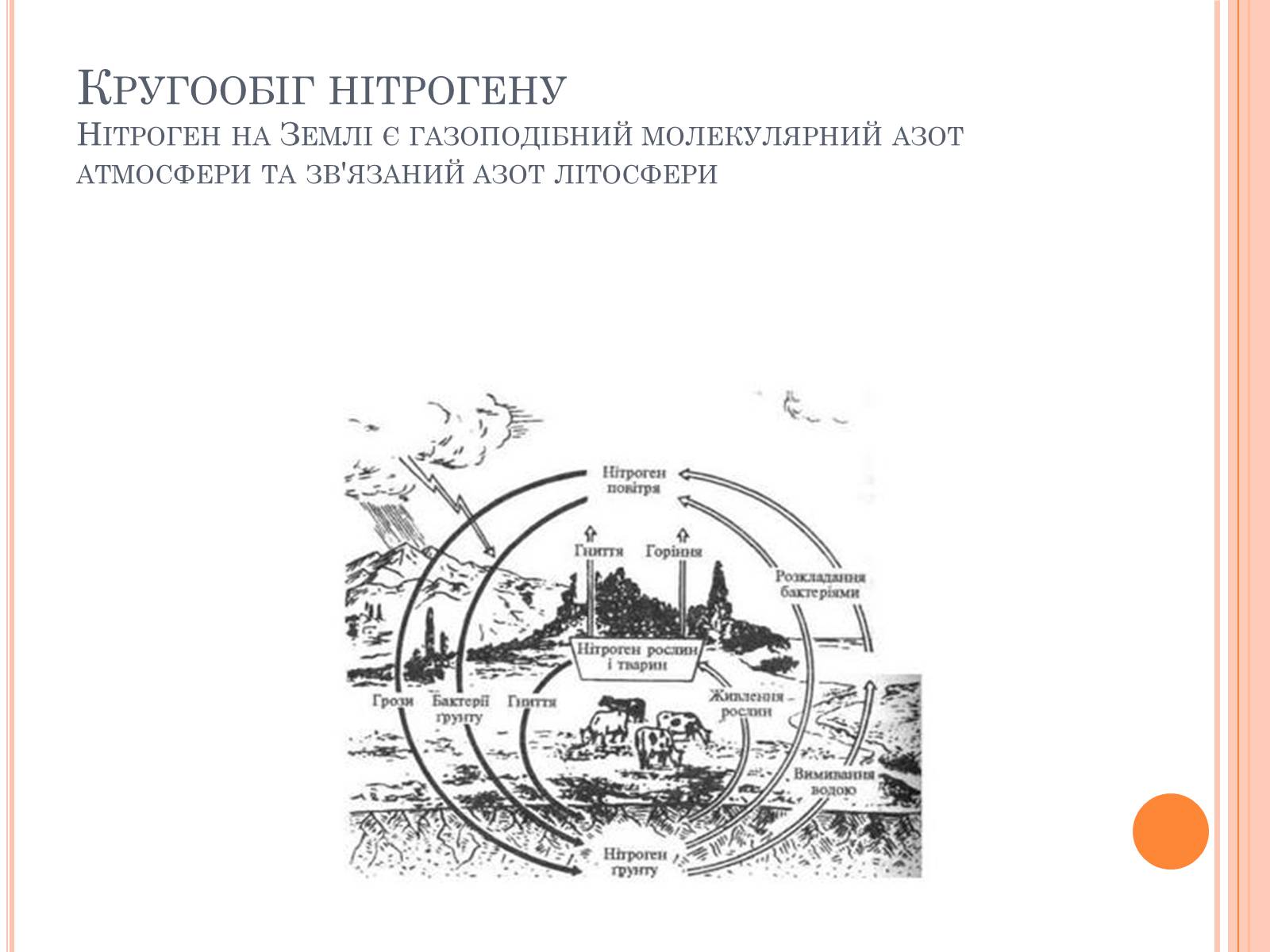 Презентація на тему «Колообіг речовин і потоки енергії як основні системоутворювальні чинники» (варіант 2) - Слайд #29 Презентація на тему «Колообіг речовин і потоки енергії як основні системоутворювальні чинники» (варіант 2) - Слайд #29