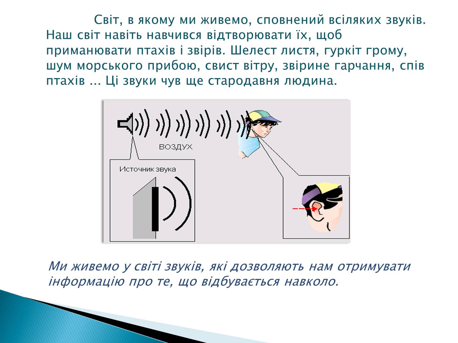 Презентація на тему «Джерела звуку. Звукові коливання» - Слайд #3