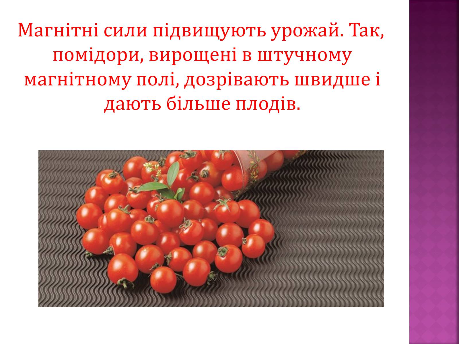 Презентація на тему «Вплив магнітного поля на живі організми» (варіант 5) - Слайд #5