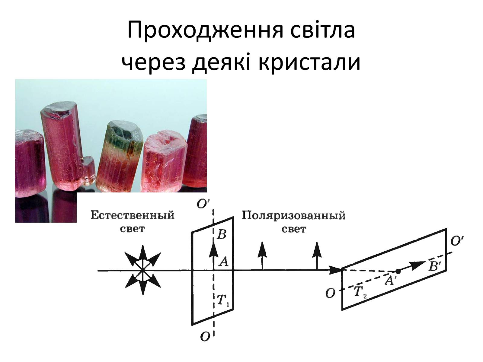 Презентація на тему «Поляризація світла. Дисперсія. Спектроскоп» - Слайд #6