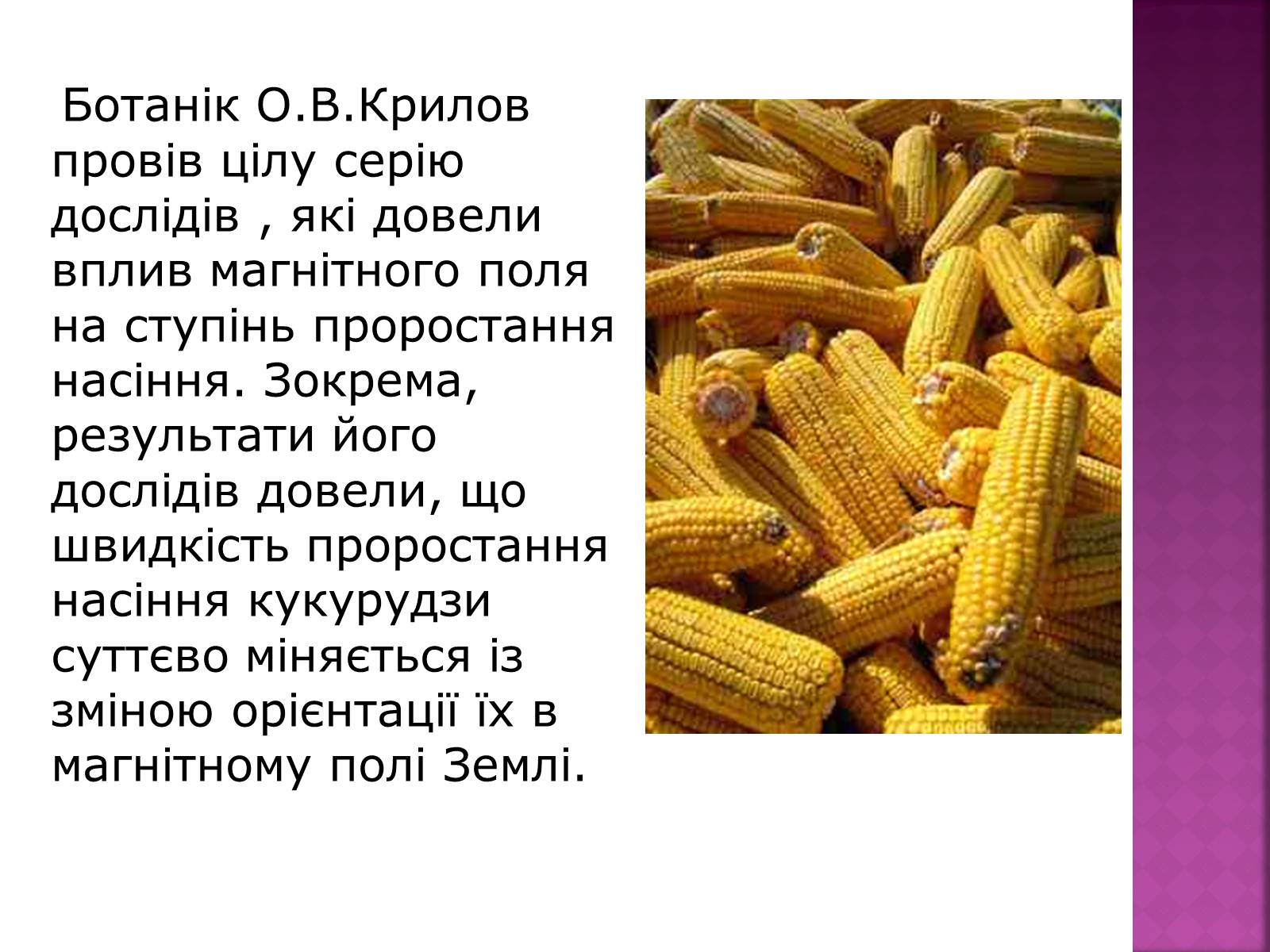 Презентація на тему «Використання магнітних властивостей» (варіант 2) - Слайд #4