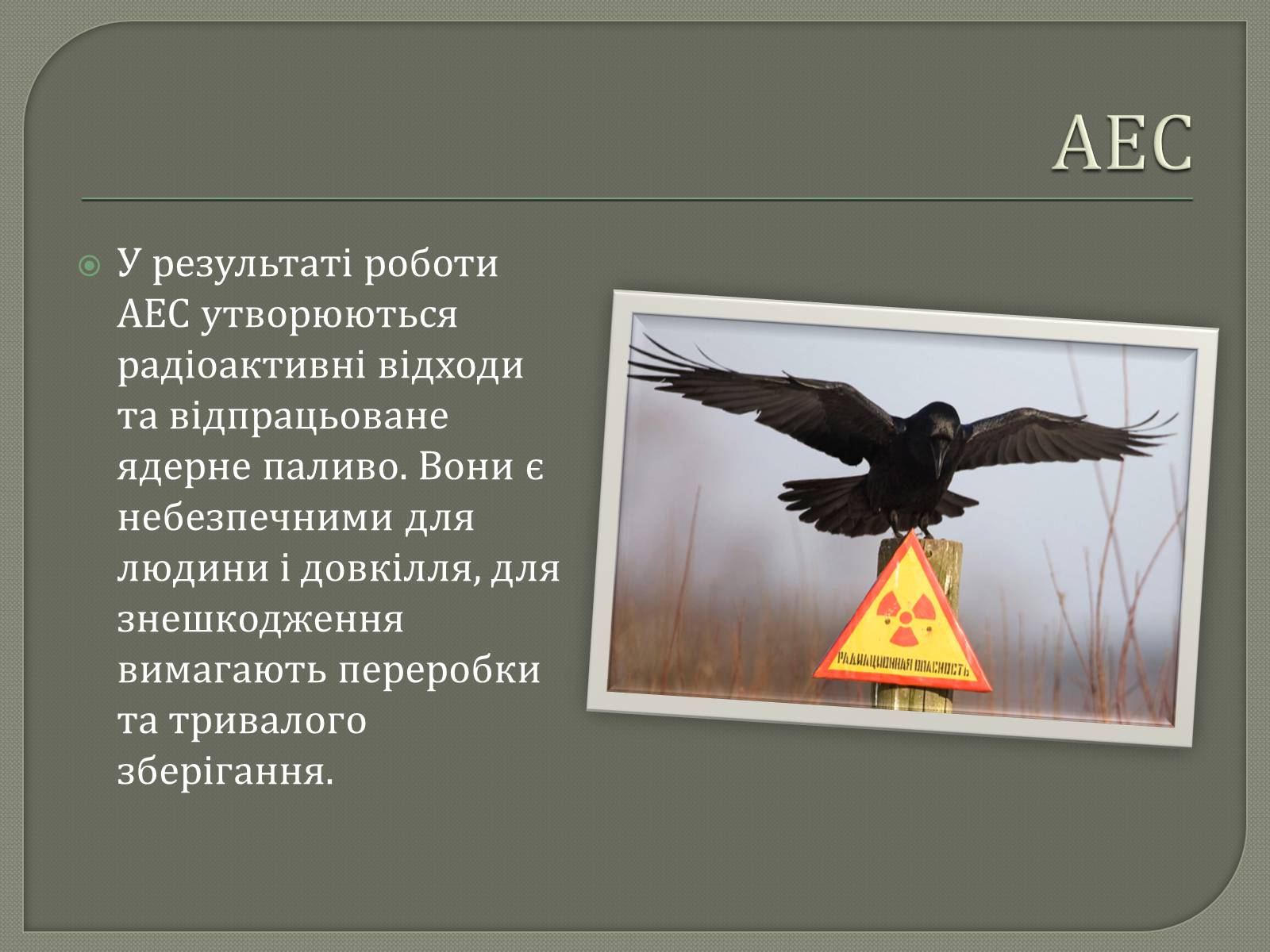 Презентація на тему «Виробництво електроенергії на АЕС» - Слайд #4