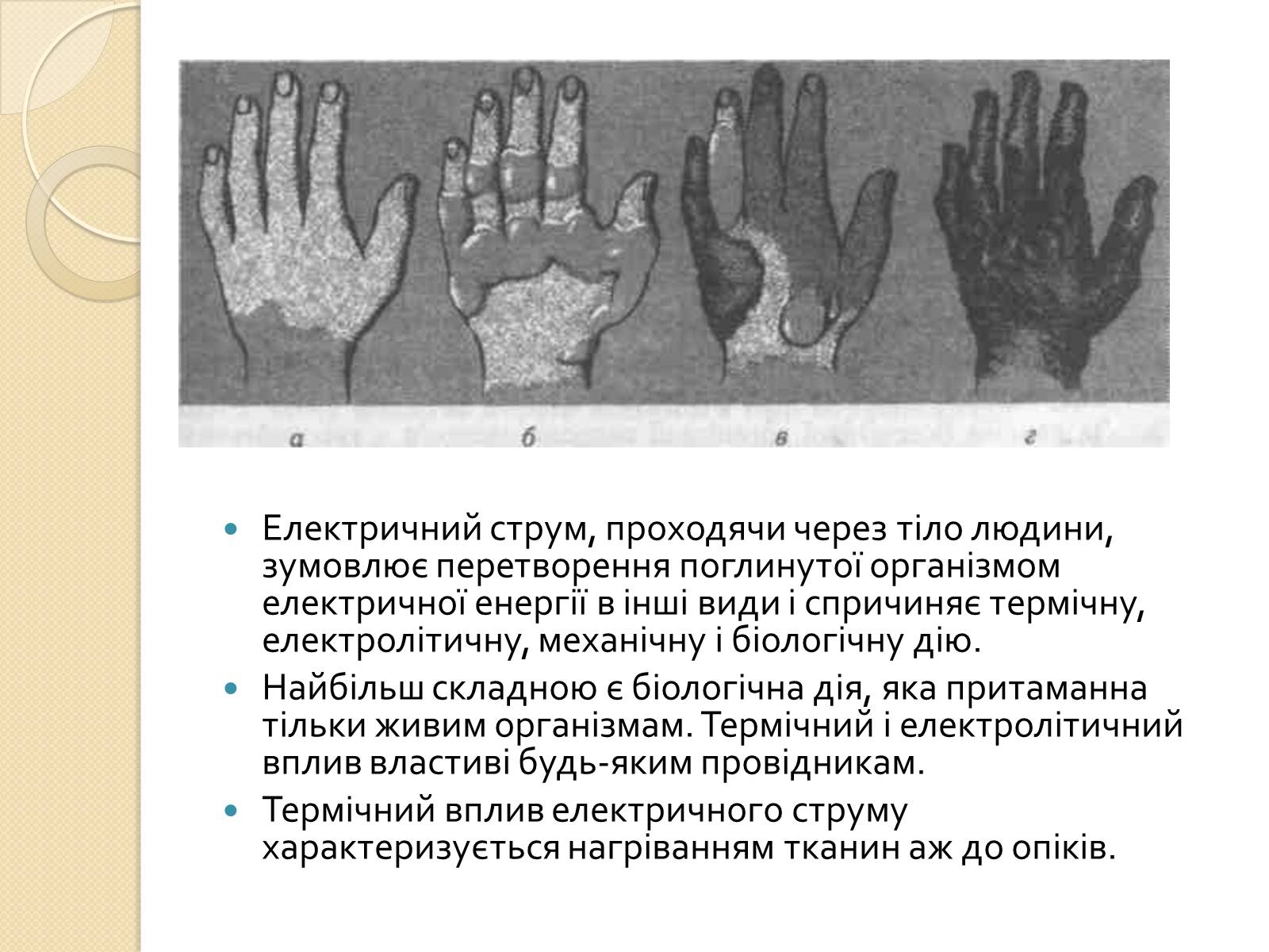 Презентація на тему «Вплив електричного поля на живі організми» (варіант 2) - Слайд #4