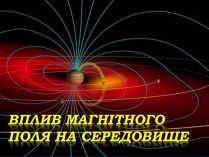 Презентація на тему «Вплив магнітного поля на середовище»