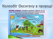 Презентація на тему «Колообіг Оксигену в природі»