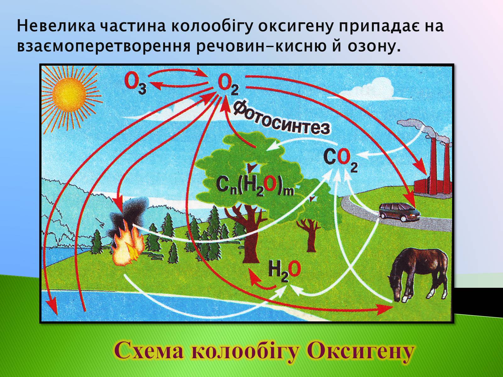 Презентація на тему «Колообіг Оксигену, Нітрогену, Карбону в природі» (варіант 1) - Слайд #4