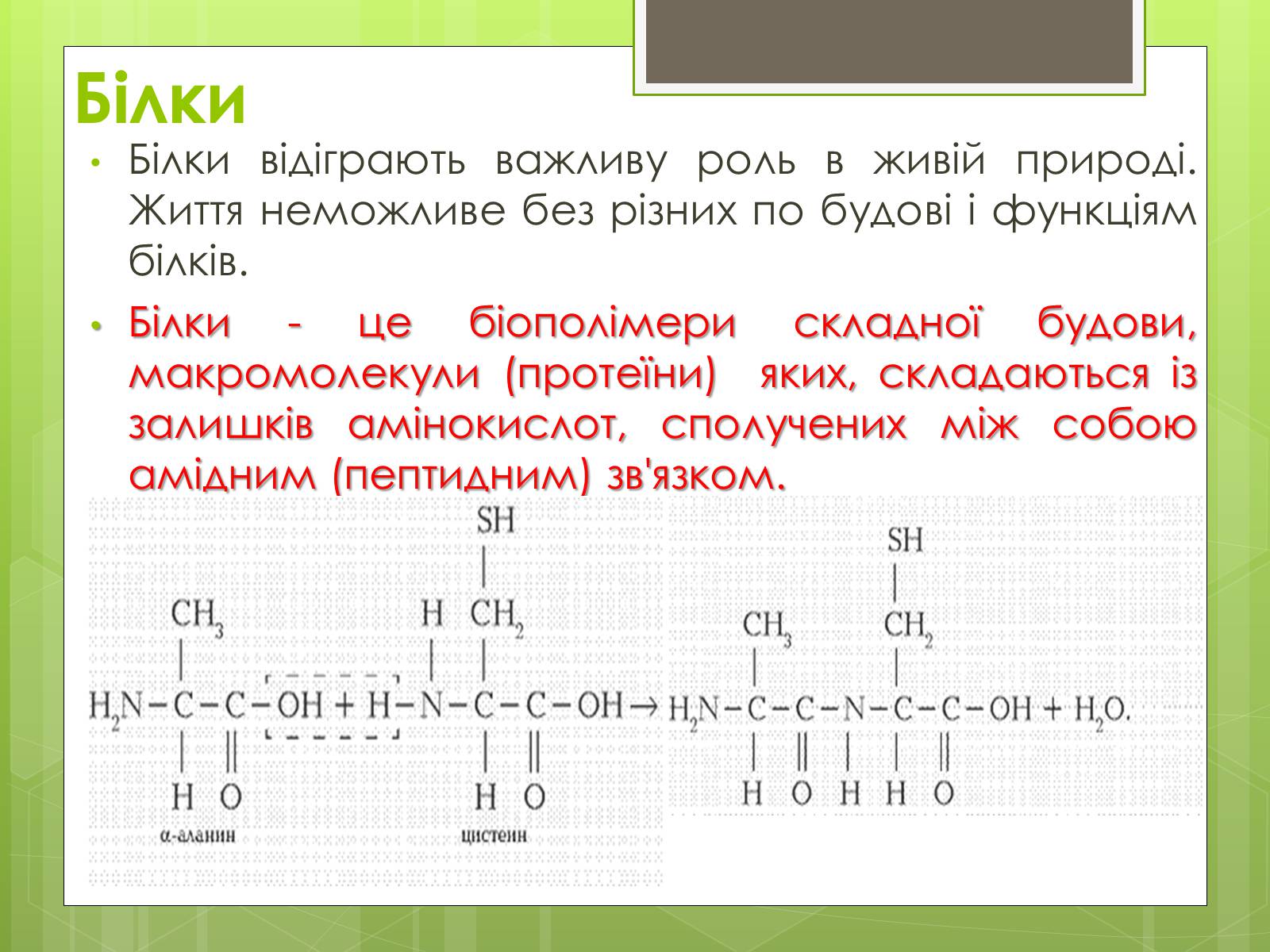 Презентація на тему «Білки та Амінокислоти» - Слайд #2