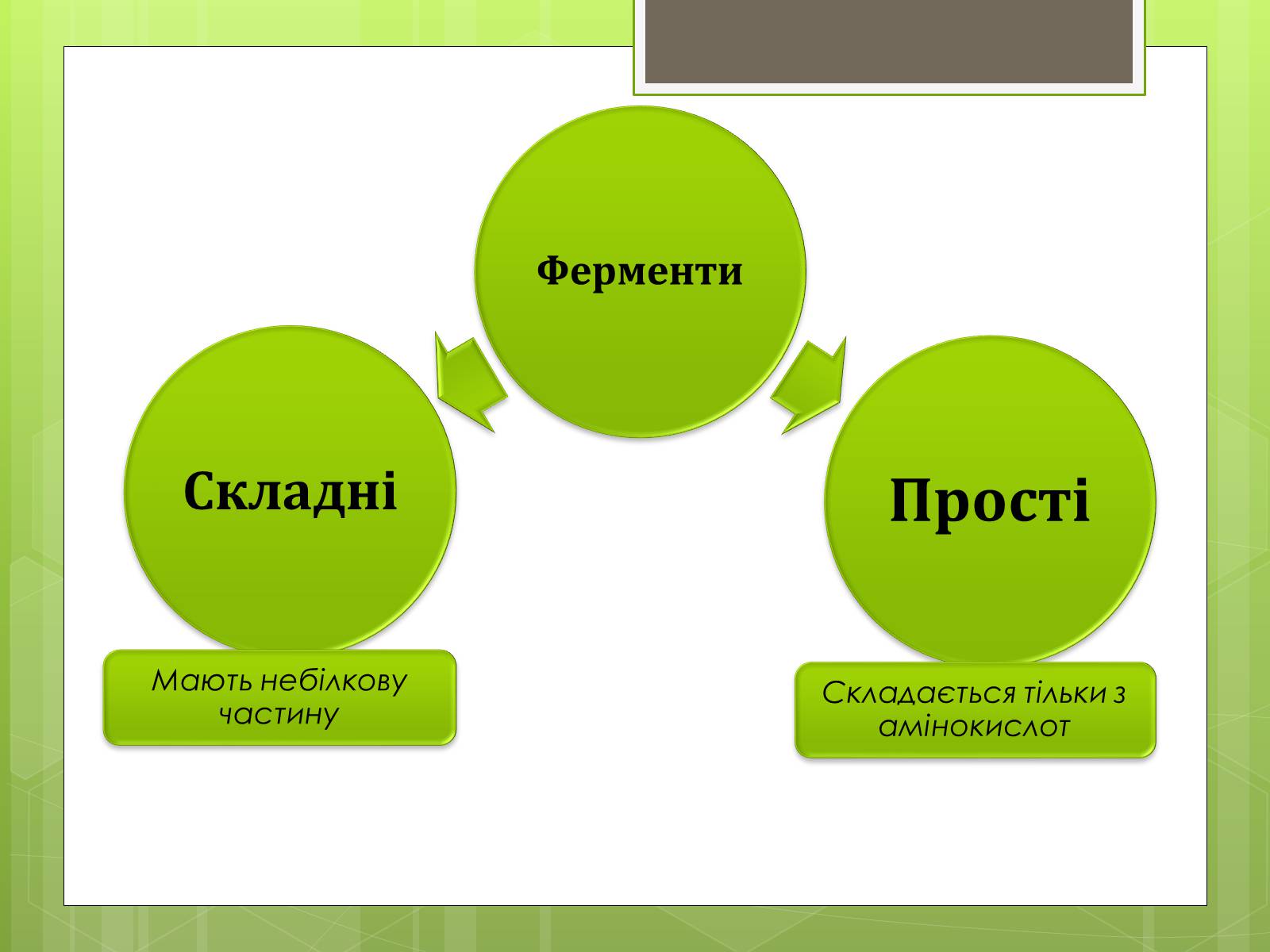 Презентація на тему «Ферменти» - Слайд #7