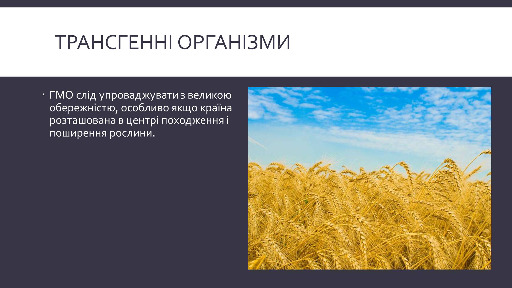 Презентація на тему «Химерні та трансгенні організми» (варіант 3) - Слайд #13