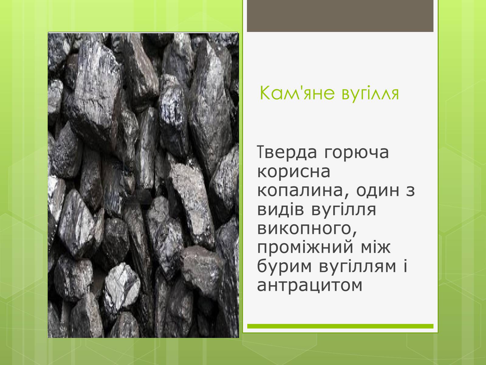 Презентація на тему «Кам&#8217;яне вугілля» (варіант 5) - Слайд #1