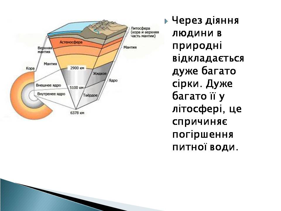 Презентація на тему «Елементний склад живих організмів» - Слайд #7