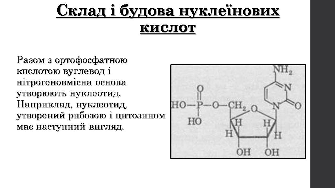 Презентація на тему «Нуклеїнові кислоти» (варіант 9) - Слайд #8