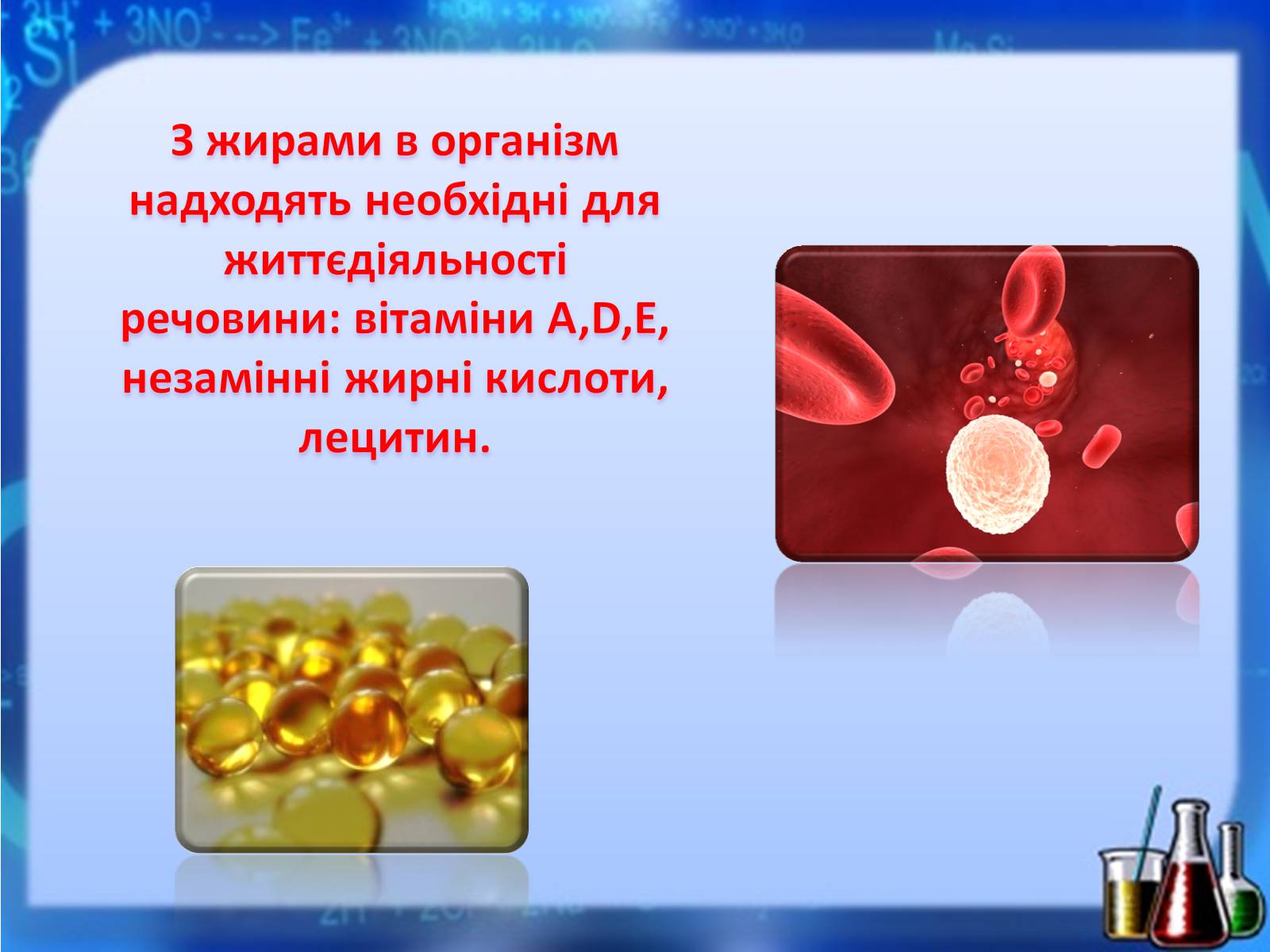 Презентація на тему «Жири, вуглеводи, білки, вітаміни як компоненти їжі» (варіант 1) - Слайд #16