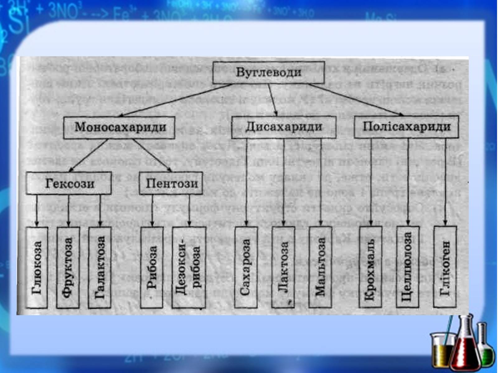 Презентація на тему «Жири, вуглеводи, білки, вітаміни як компоненти їжі» (варіант 1) - Слайд #27