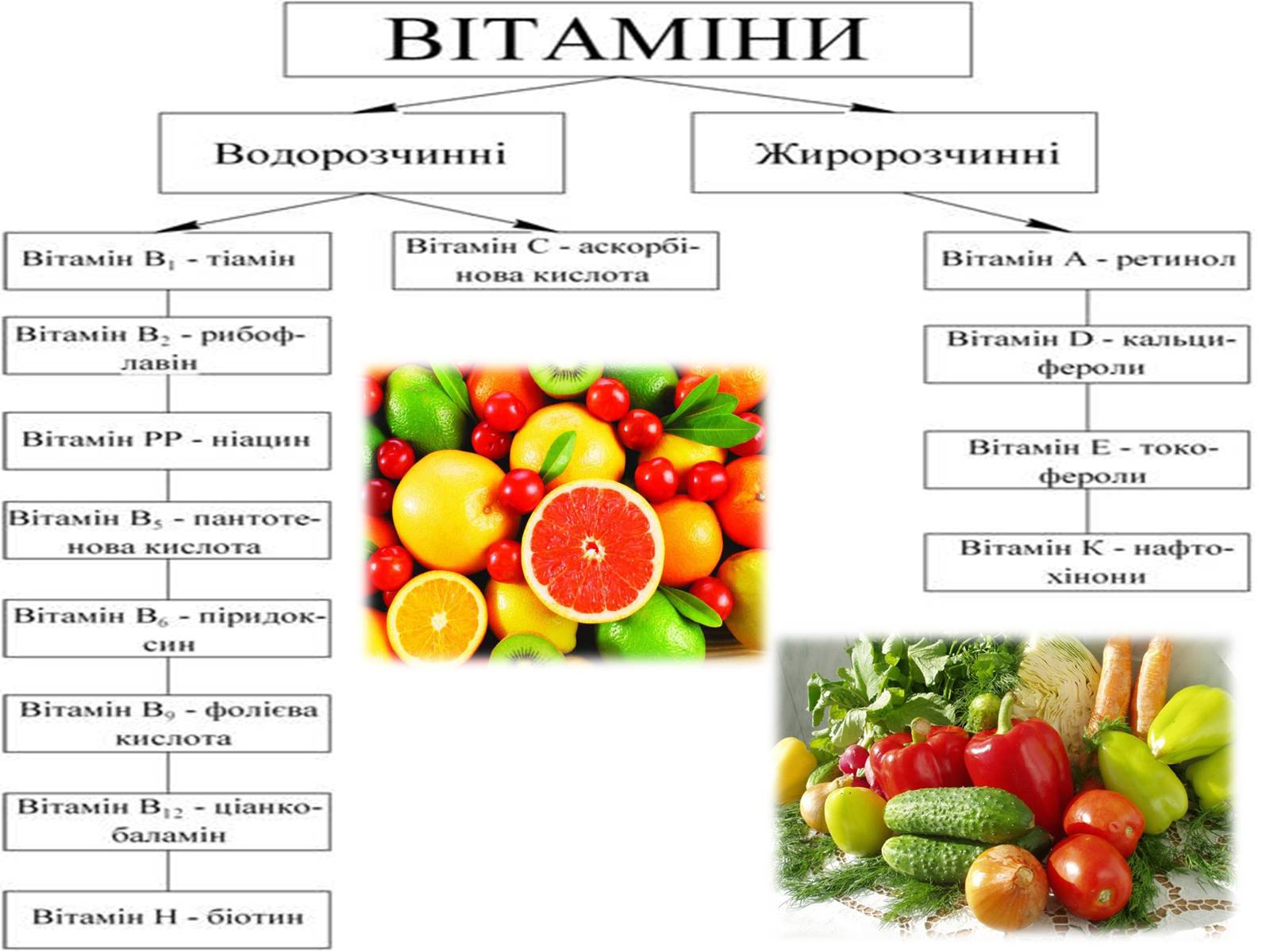 Презентація на тему «Жири, вуглеводи, білки, вітаміни як компоненти їжі» (варіант 1) - Слайд #38