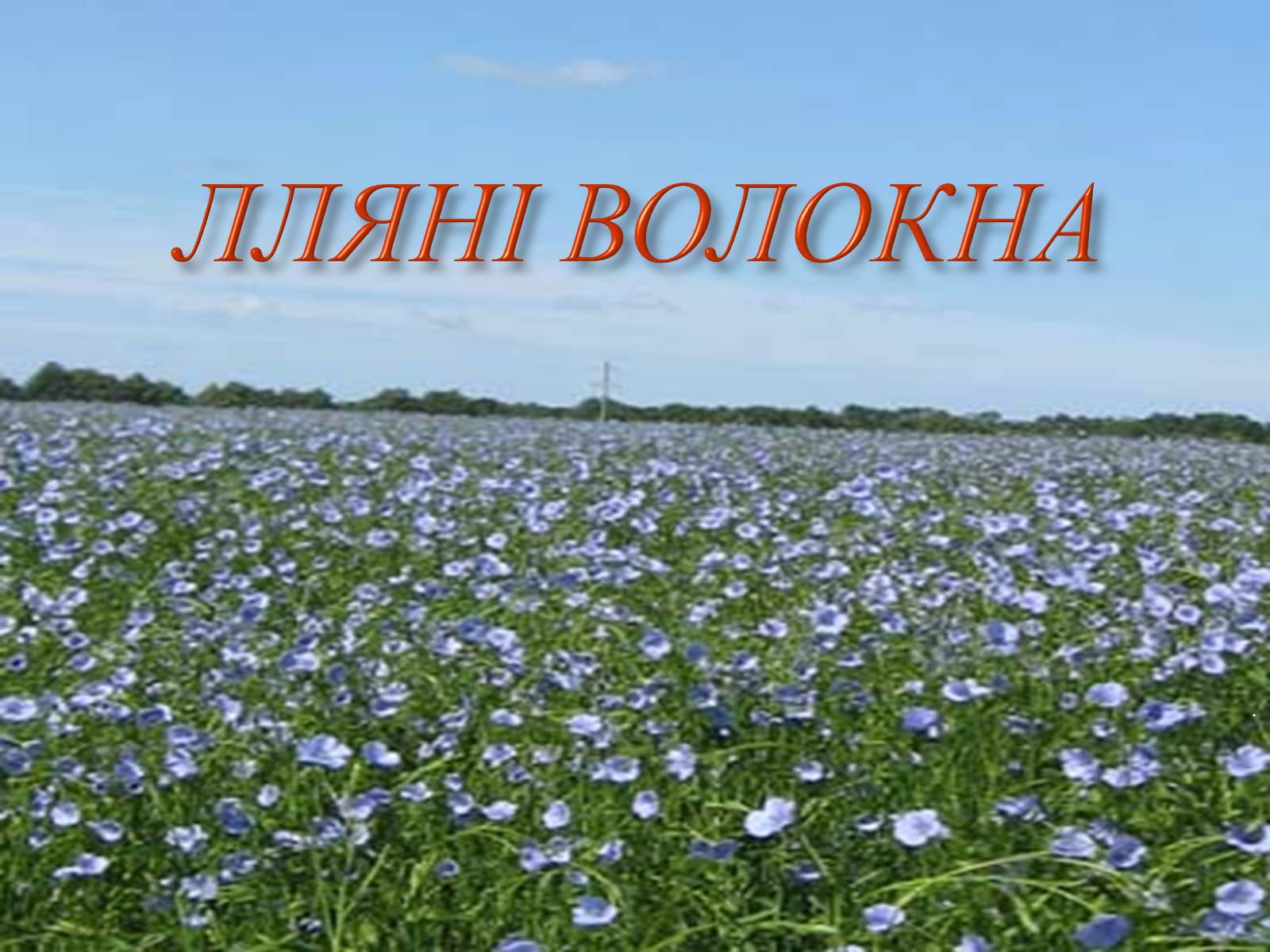 Презентація на тему «Природні волокна» (варіант 1) - Слайд #2