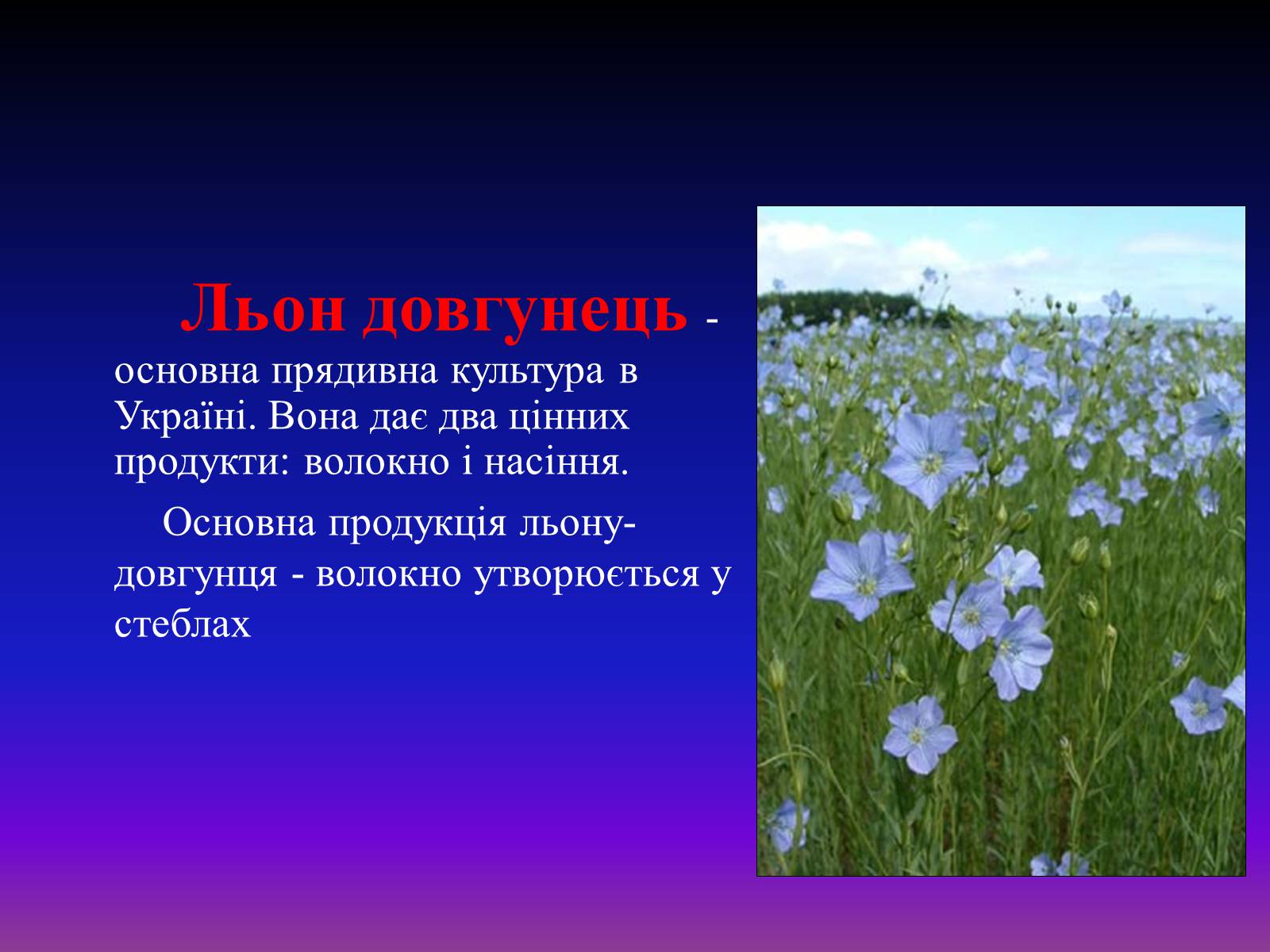 Презентація на тему «Природні волокна» (варіант 1) - Слайд #3