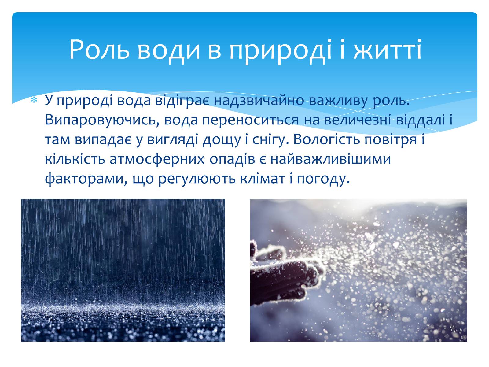 Презентація на тему «Вода. Особливості молекулярної води. Роль води в життєдіяльності організмів» - Слайд #12