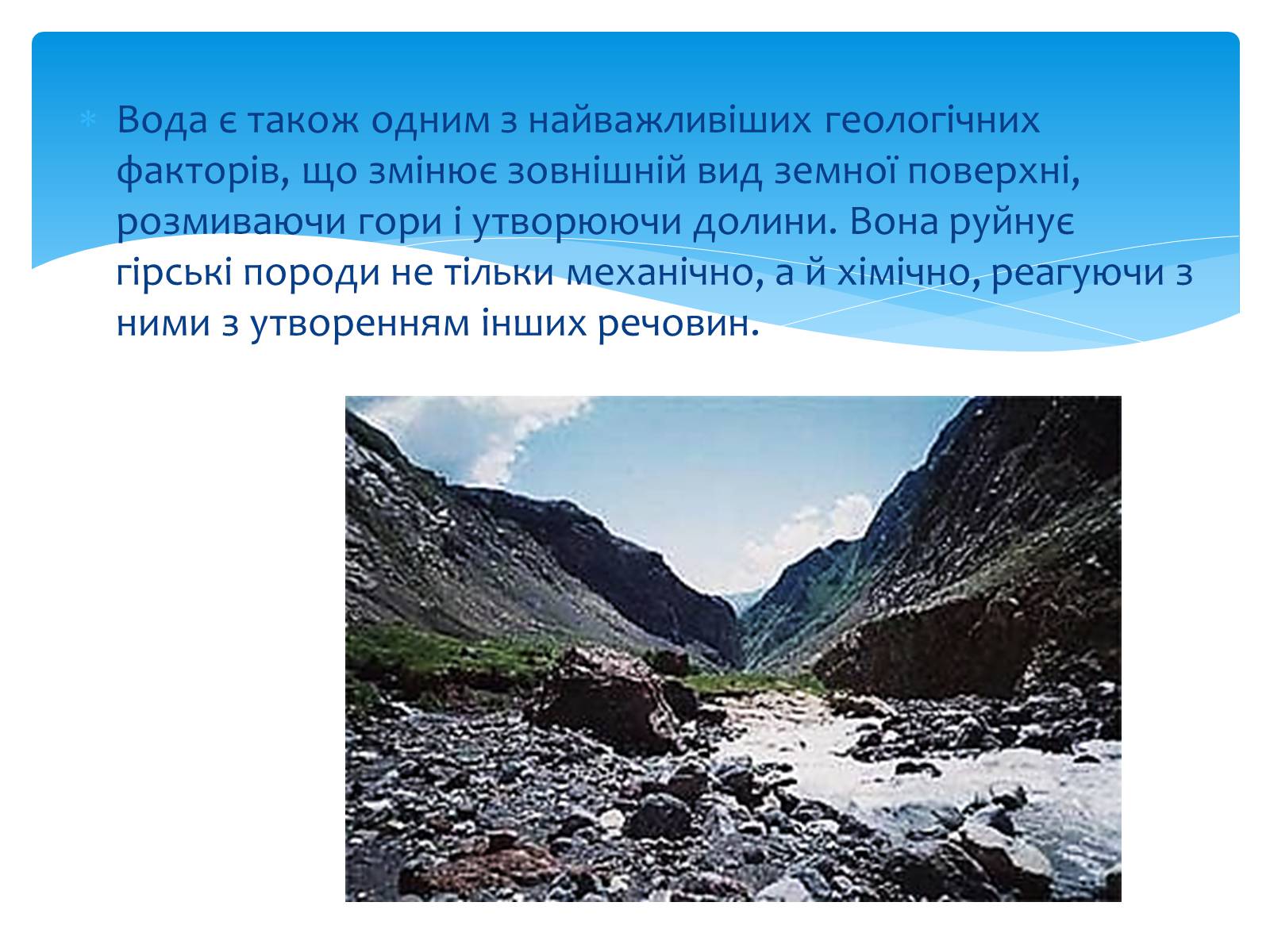 Презентація на тему «Вода. Особливості молекулярної води. Роль води в життєдіяльності організмів» - Слайд #13