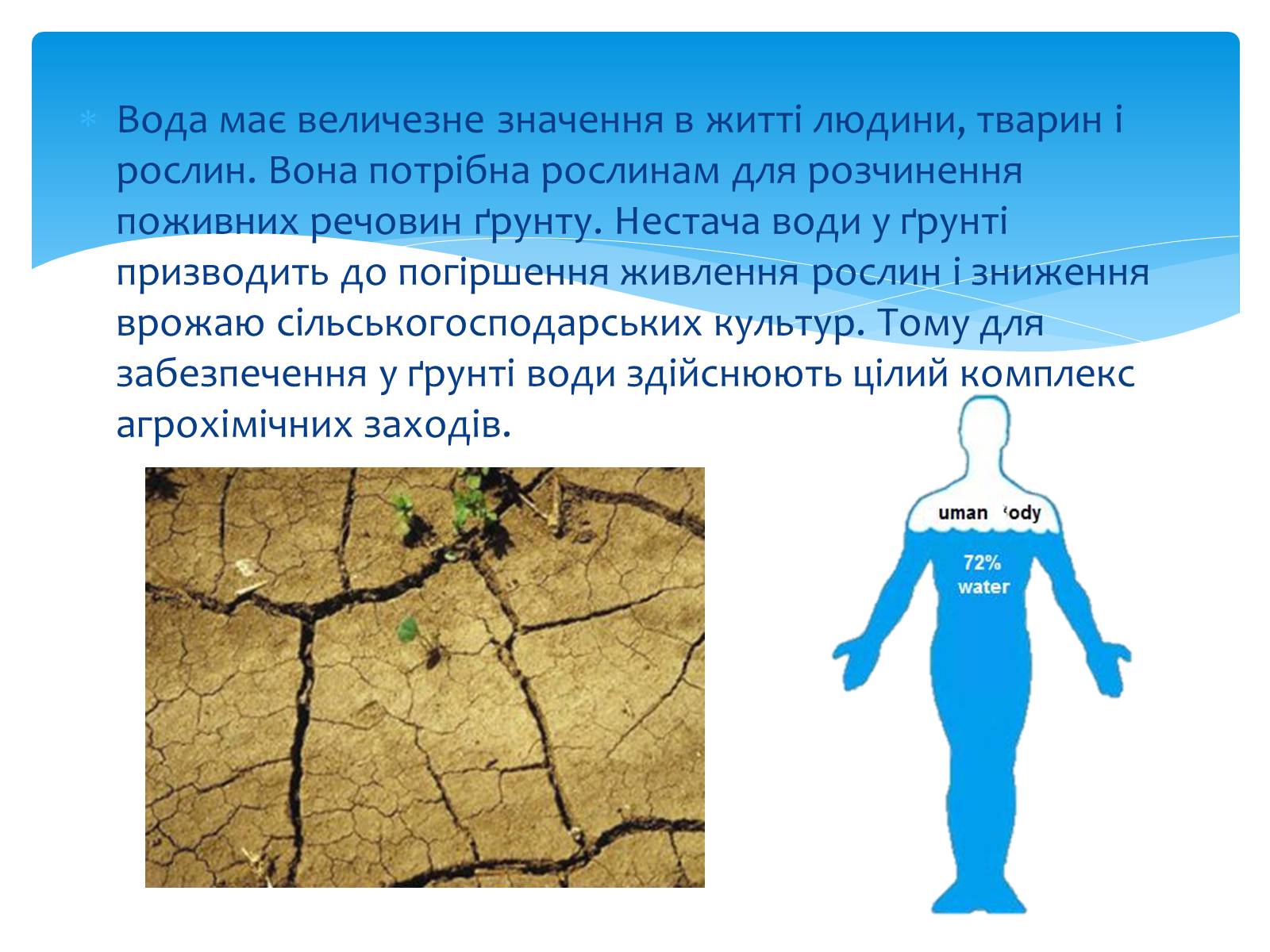 Презентація на тему «Вода. Особливості молекулярної води. Роль води в життєдіяльності організмів» - Слайд #14