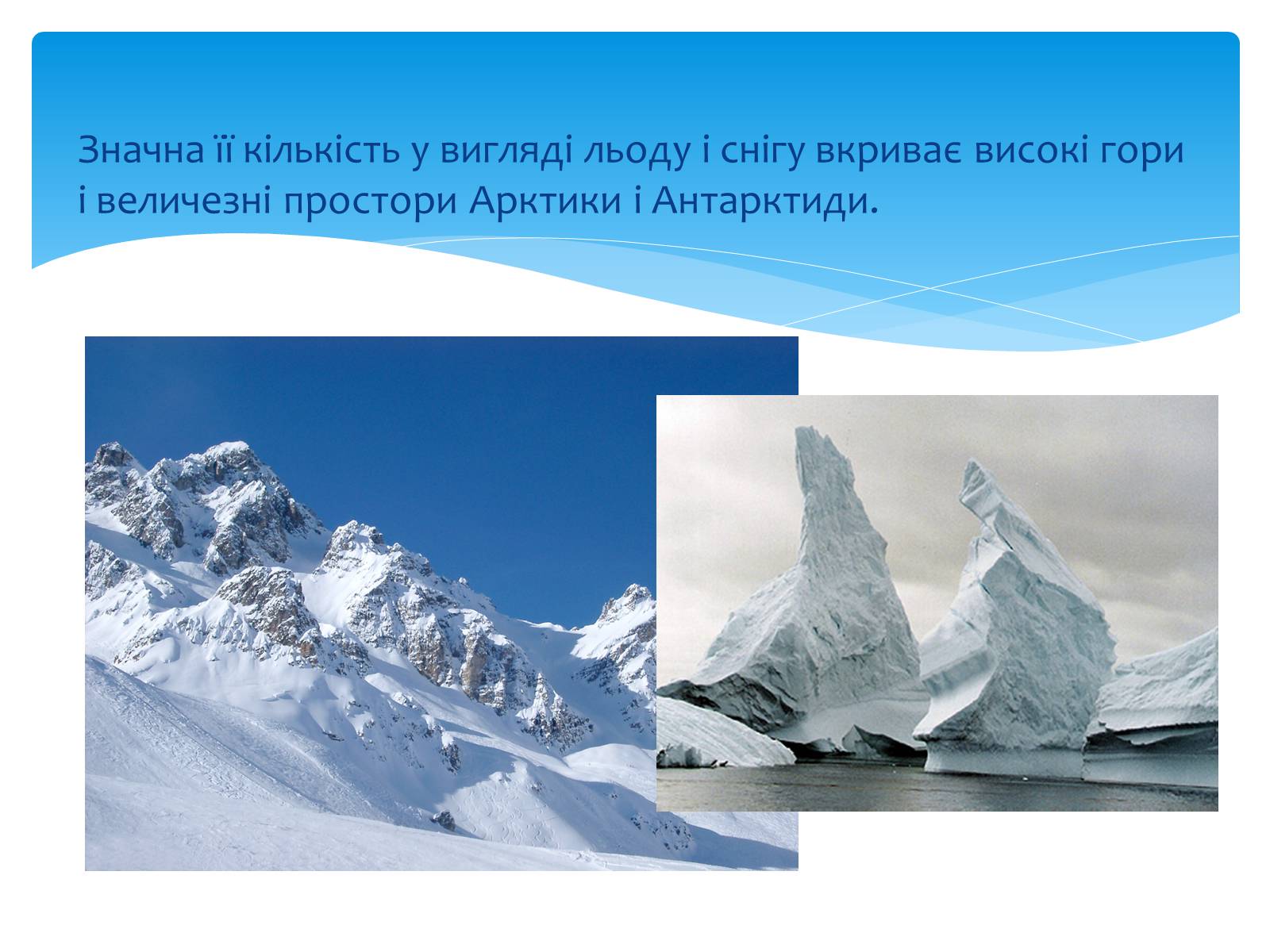 Презентація на тему «Вода. Особливості молекулярної води. Роль води в життєдіяльності організмів» - Слайд #5