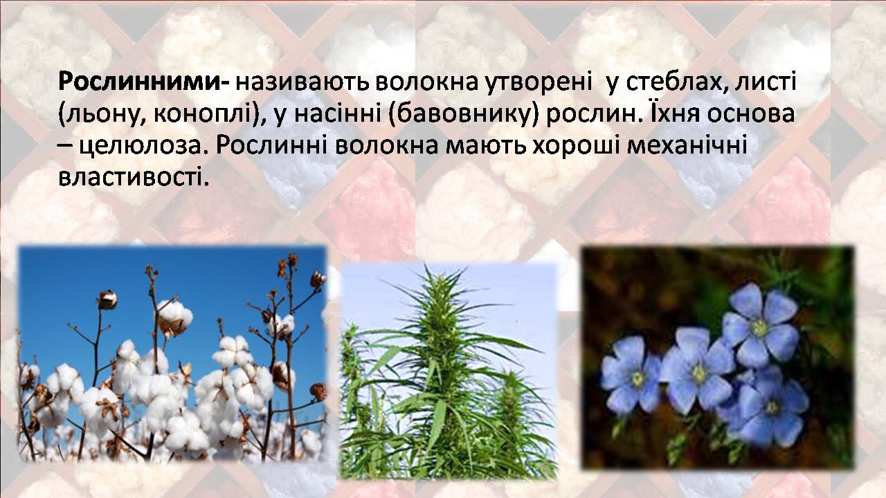 Презентація на тему «Природні волокна» (варіант 3) - Слайд #5