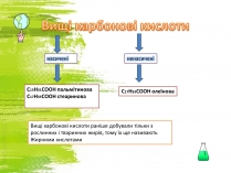 Презентація на тему «Вищі карбонові кислоти» (варіант 2)