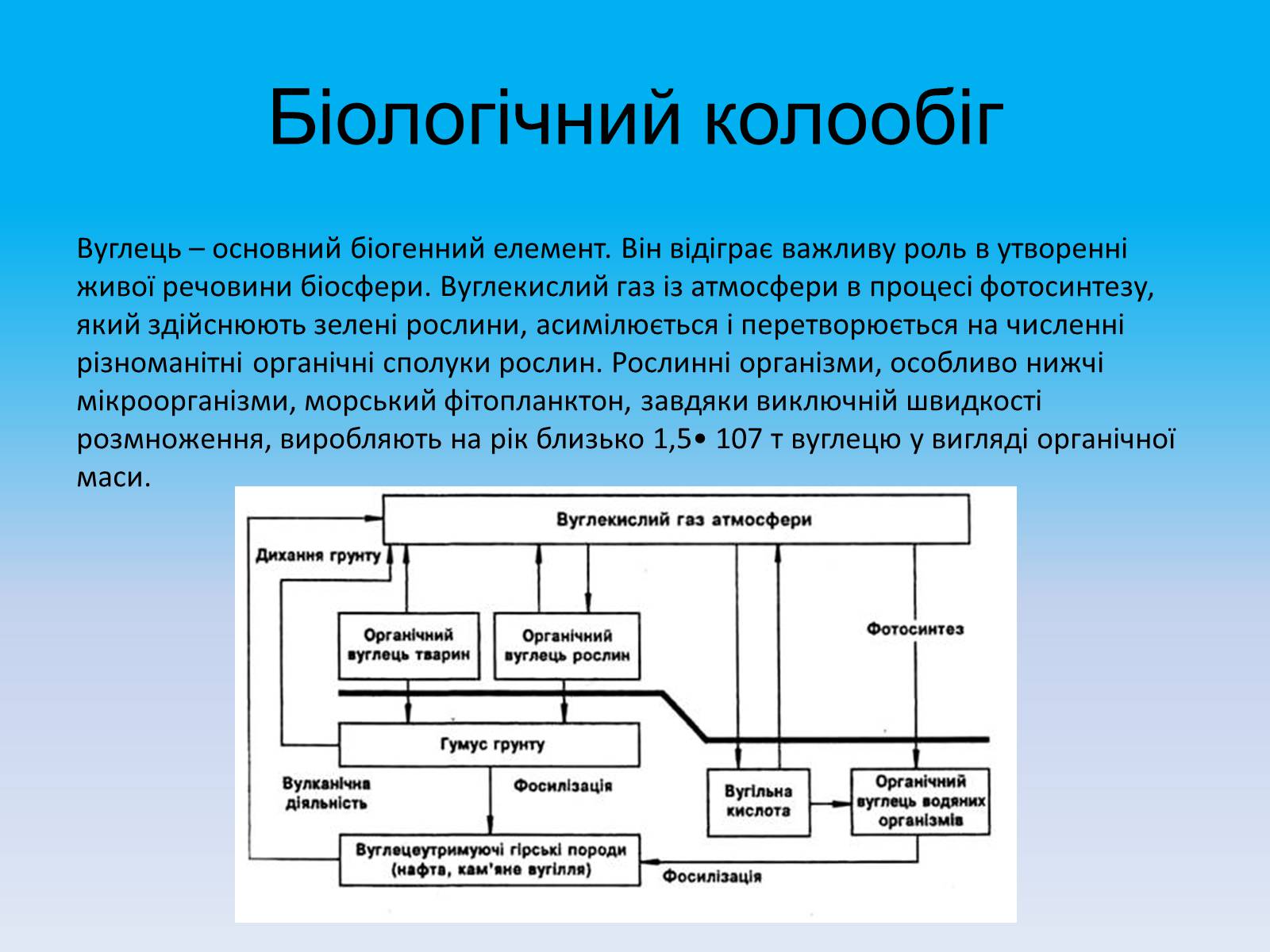 Презентація на тему «Кругообіг речовин в природі» - Слайд #26