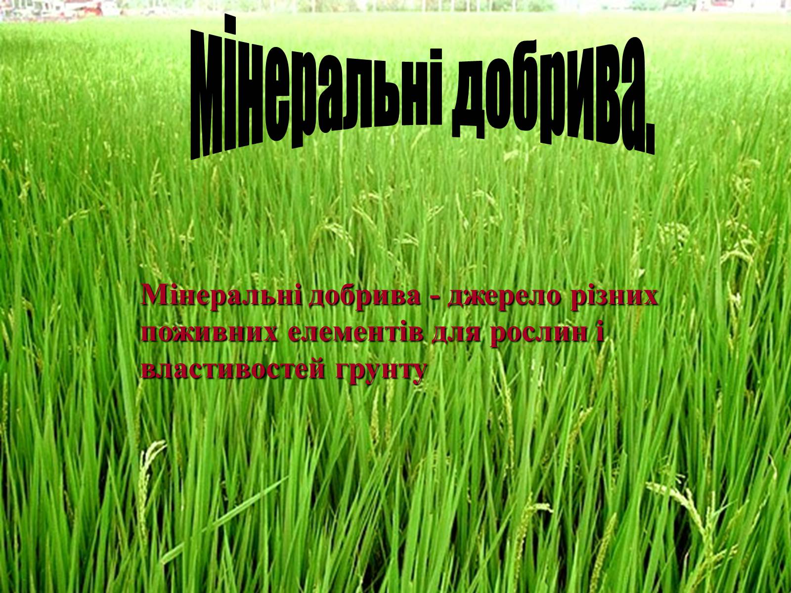 Презентація на тему «Мінеральні добрива» (варіант 3) - Слайд #1