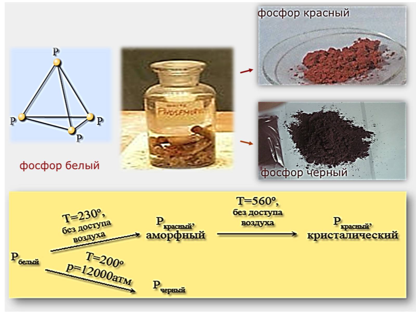 Фосфор образует. Аллотропные видоизменения фосфора белый красный черный. Аллотропные модификации фосфора белый красный черный. Аллотропные модификаторы фосфора. Аллотропные видоизменения черного фосфора.