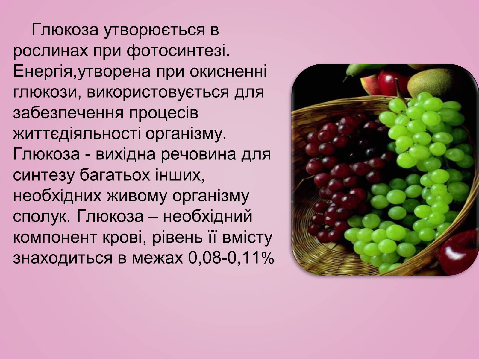 Презентація на тему «Вуглеводи як компоненти їжі, їх роль у житті людини» (варіант 28) - Слайд #14