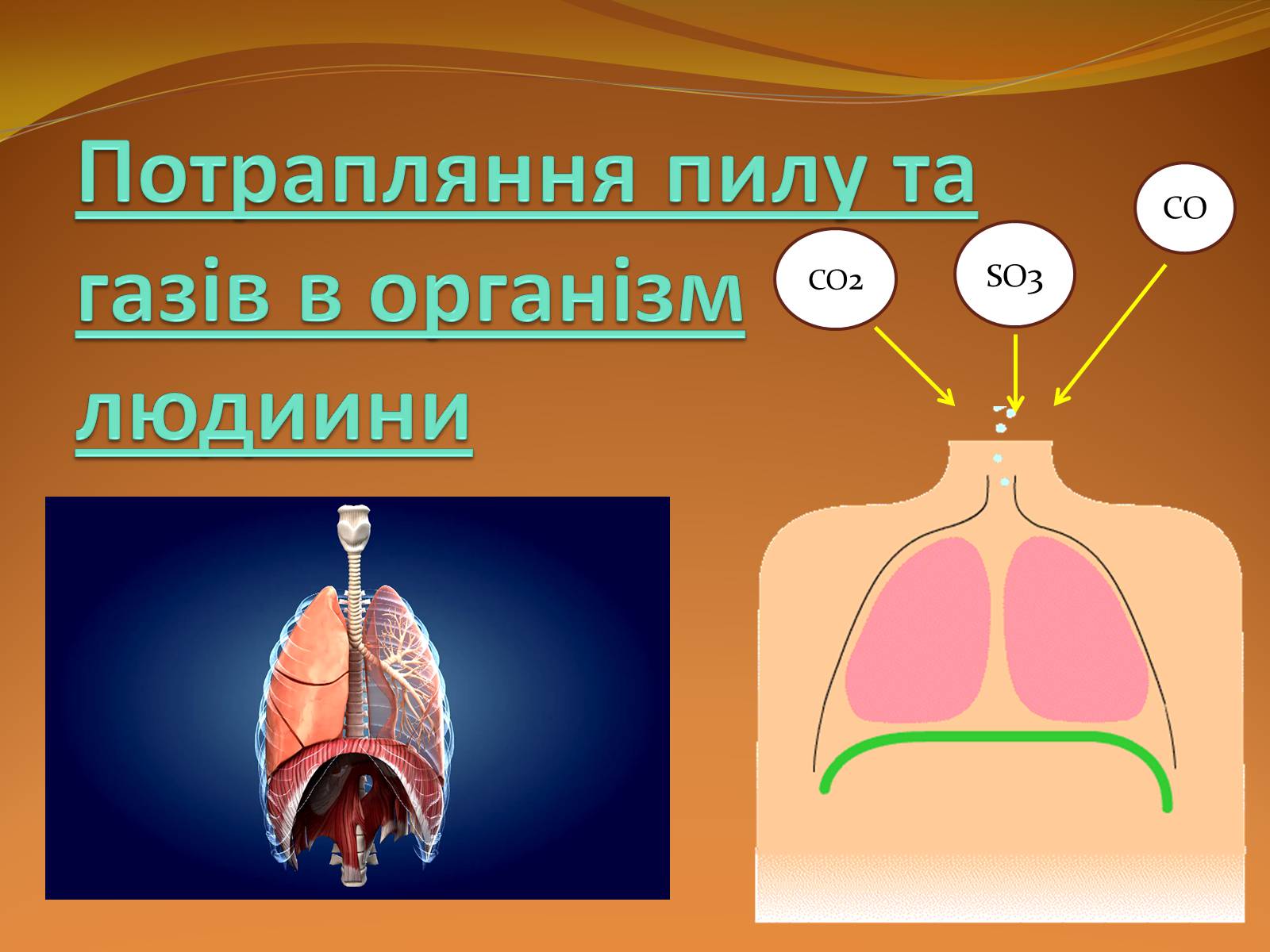 Презентація на тему «Місце хімії серед інших наук про природу» (варіант 2) - Слайд #28