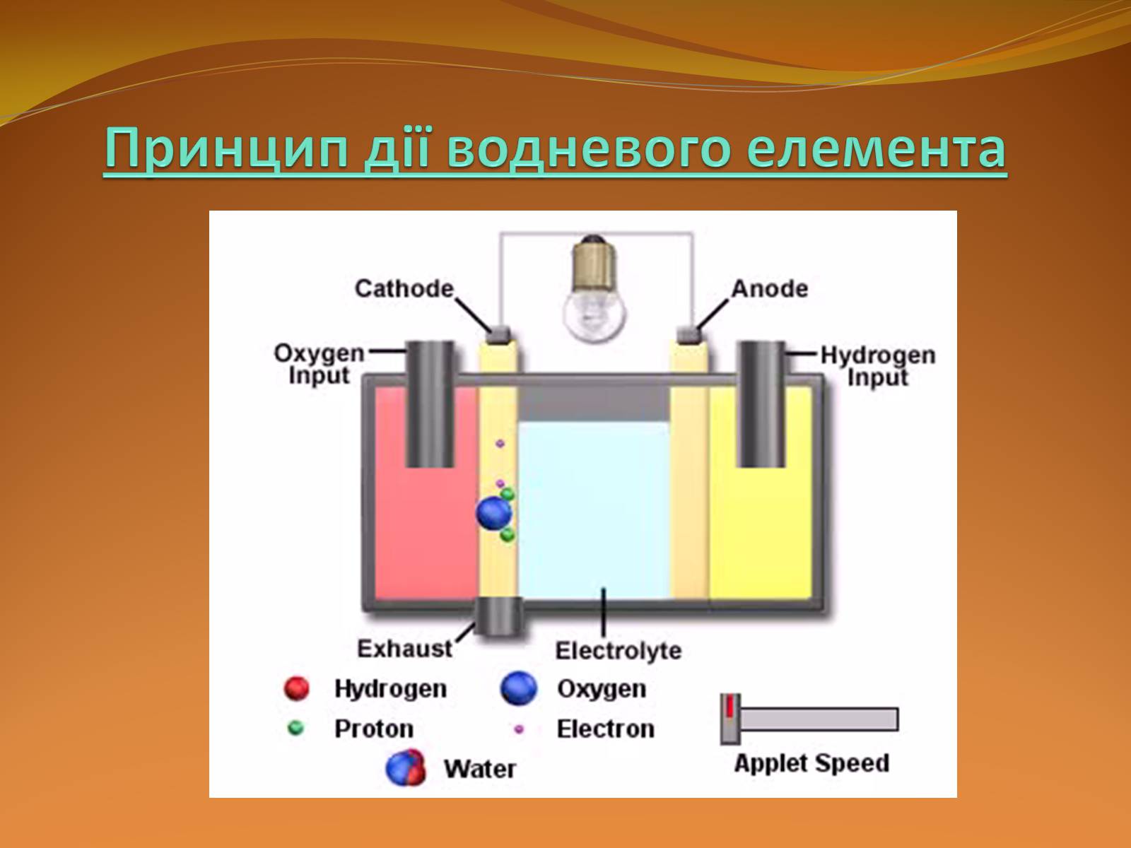 Презентація на тему «Місце хімії серед інших наук про природу» (варіант 2) - Слайд #48