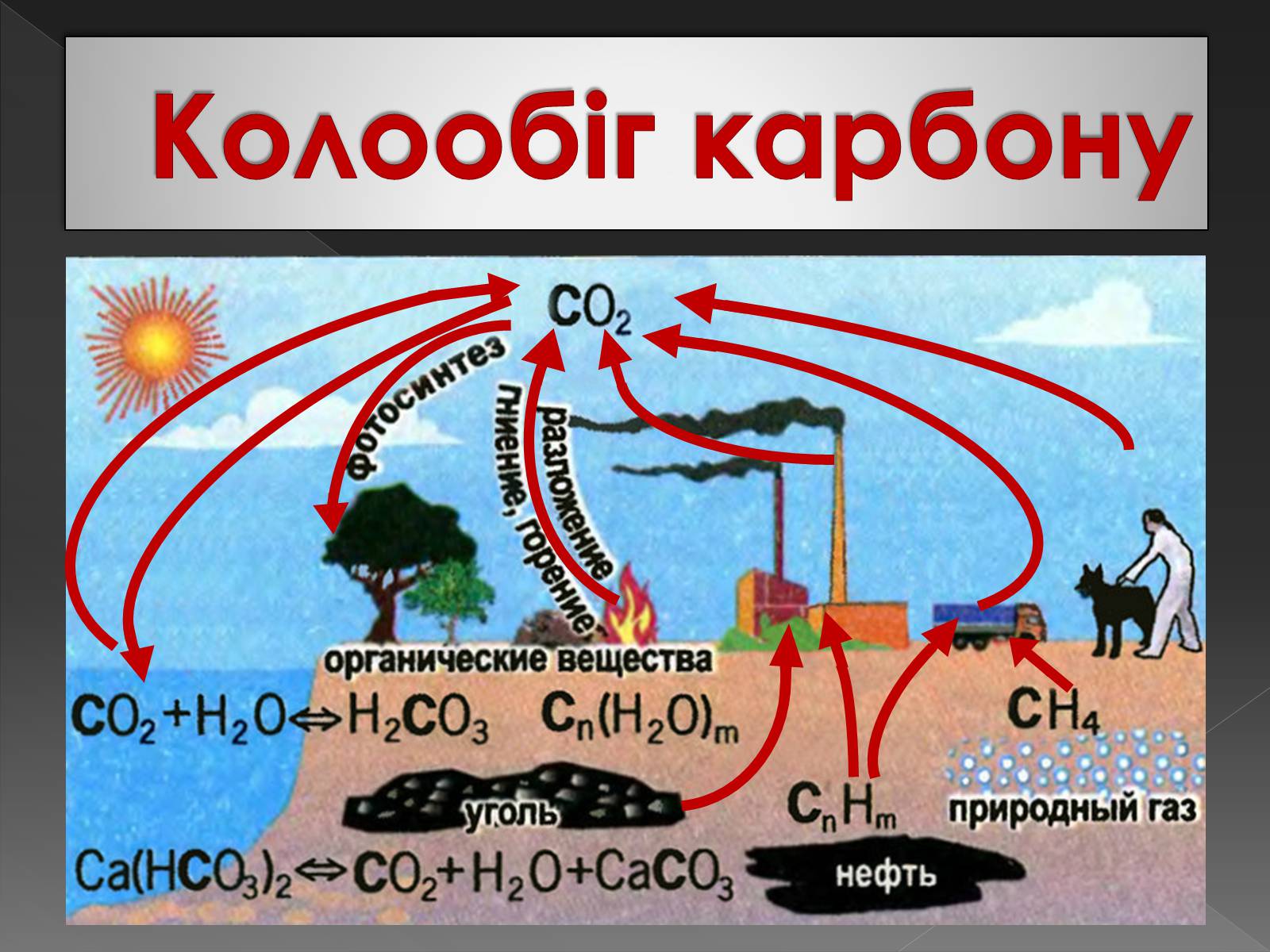 Презентація на тему «Карбон» (варіант 3) - Слайд #8