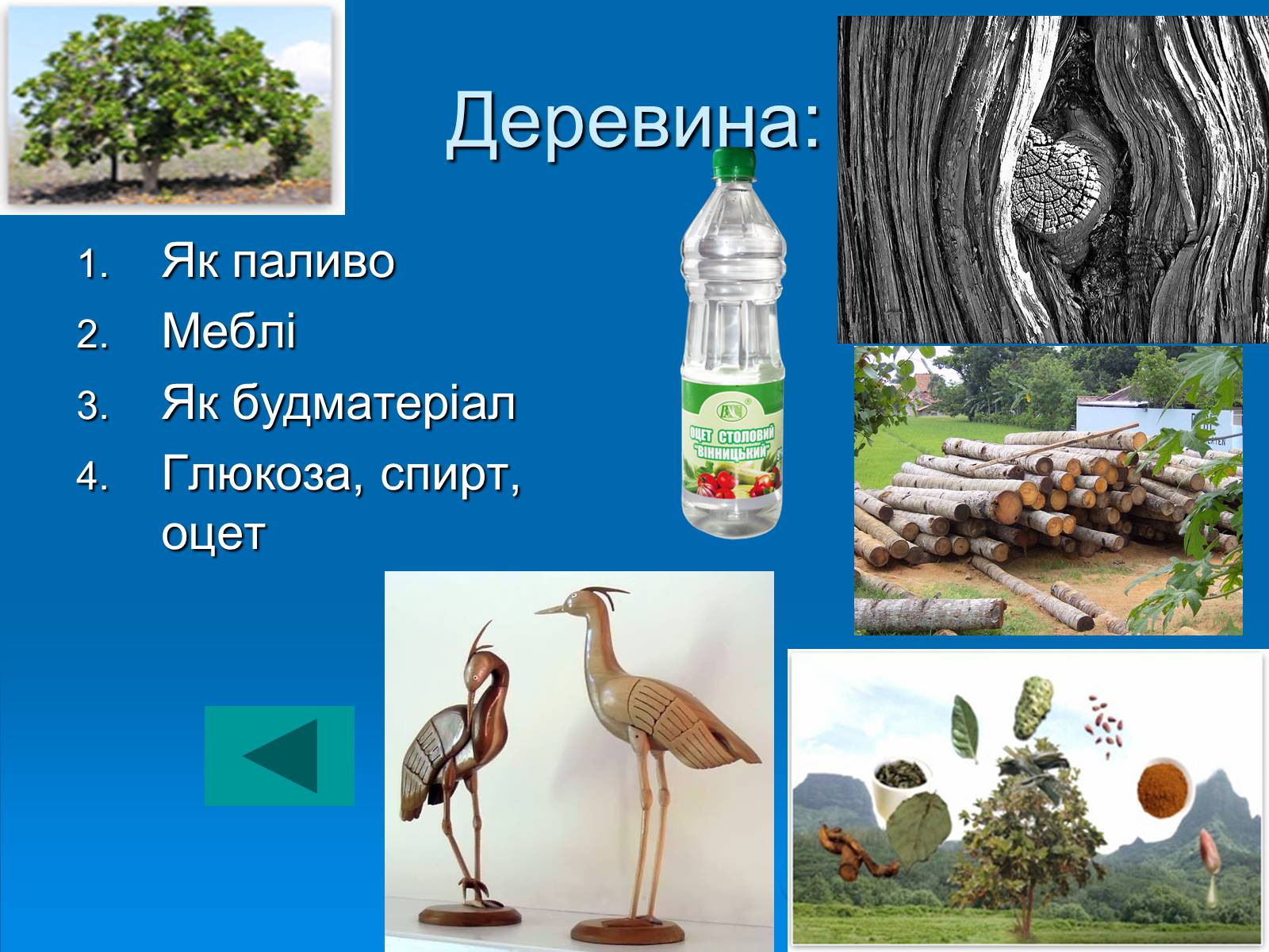 Презентація на тему «Значення хімії у розв&#8217;язанні сировинної проблеми» (варіант 2) - Слайд #5