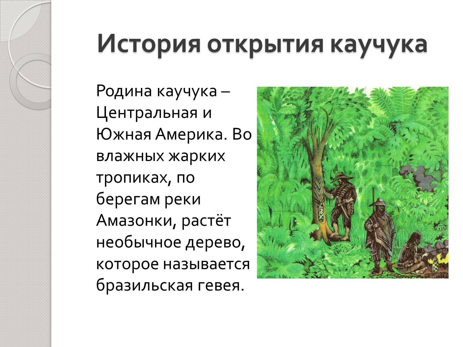 Презентація на тему «Натуральный и синтетический каучуки» - Слайд #2